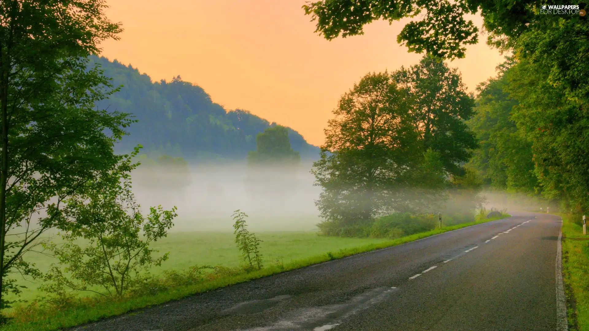 Way, woods, Fog, Mountains