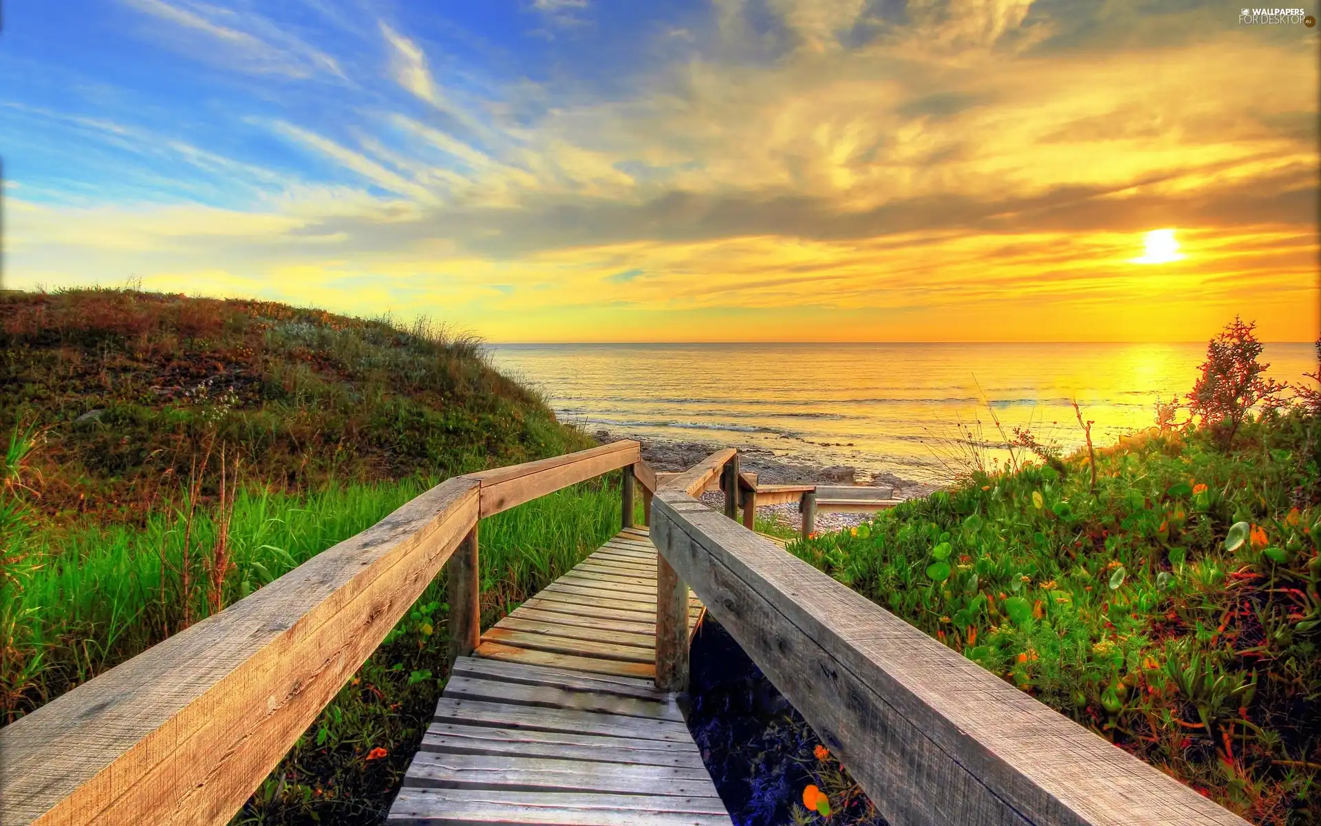 footbridge, Plants, sun, sea, west