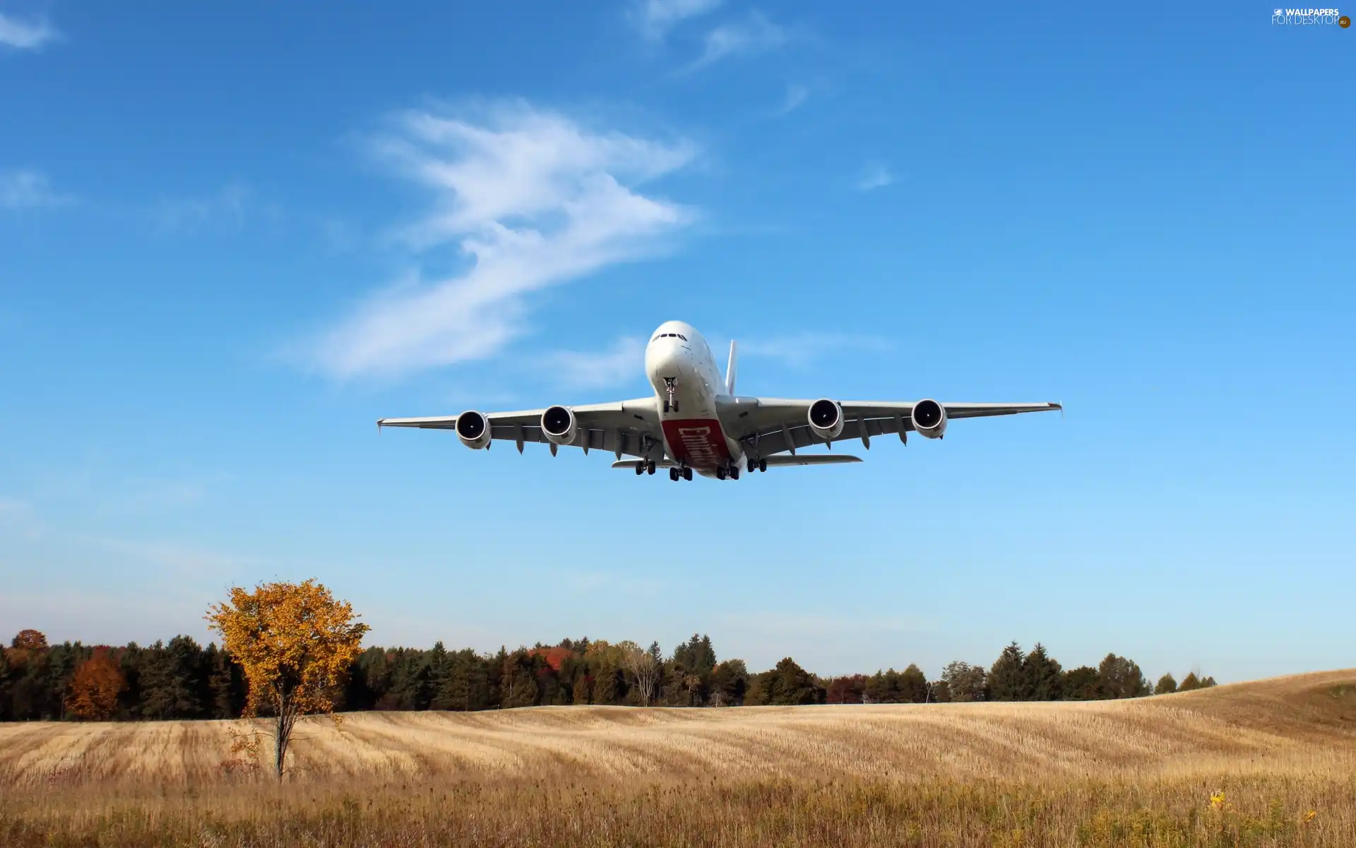 plane, Meadow, forest, Airbus A380