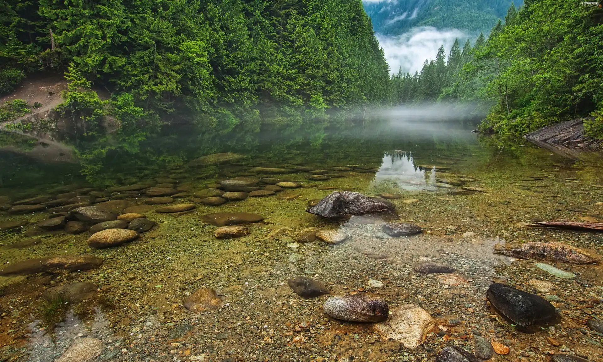 forest, Canada, Stones, Fog, lake