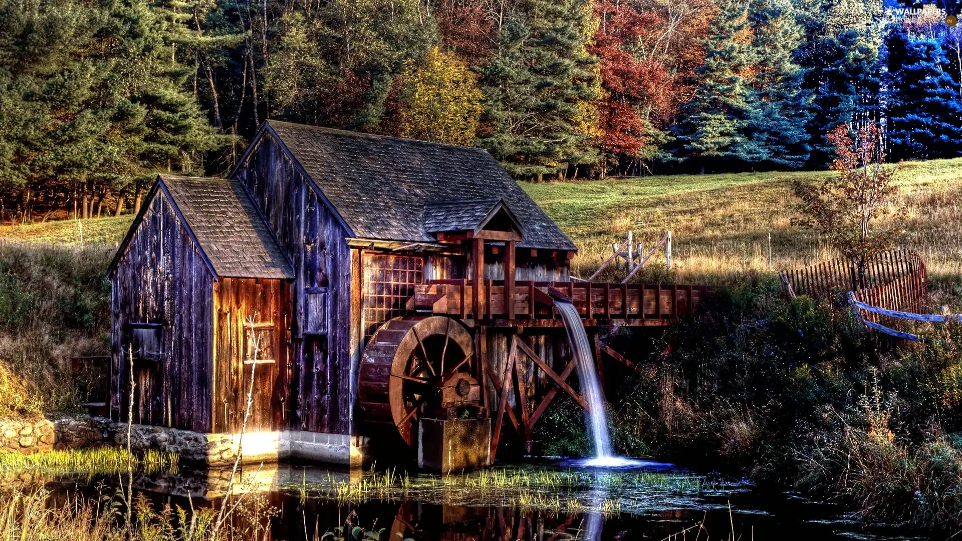 Old car, River, forest, Windmill