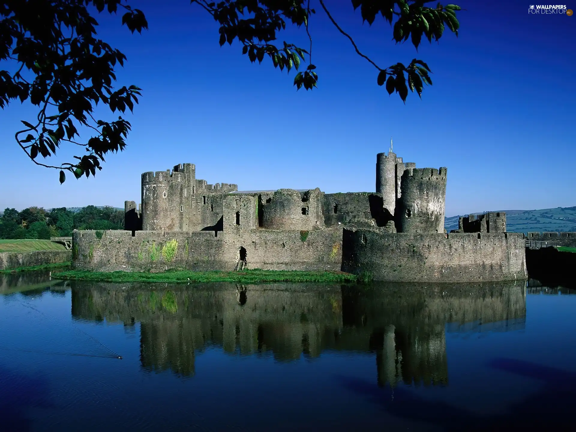 Castle, lake, forest, fortified