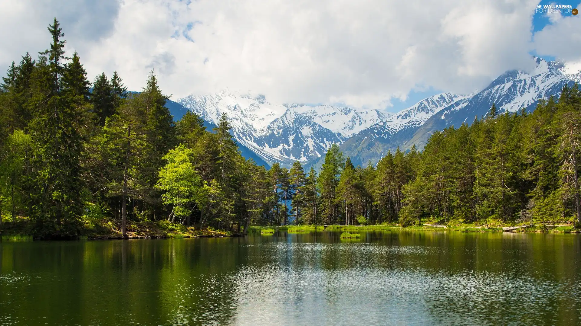 clouds, lake, forest, Mountains