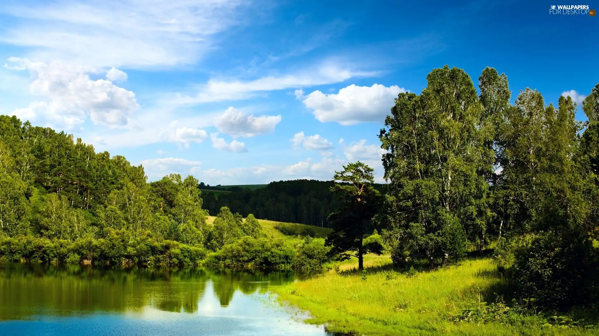 forest, clouds, blue, Sky, lake