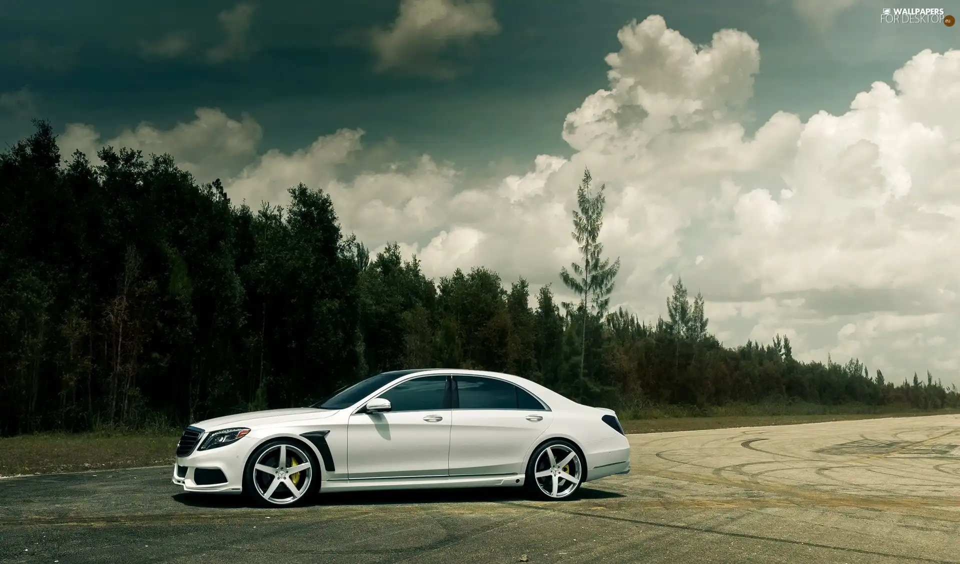 forest, clouds, Mercedes, Benz, White