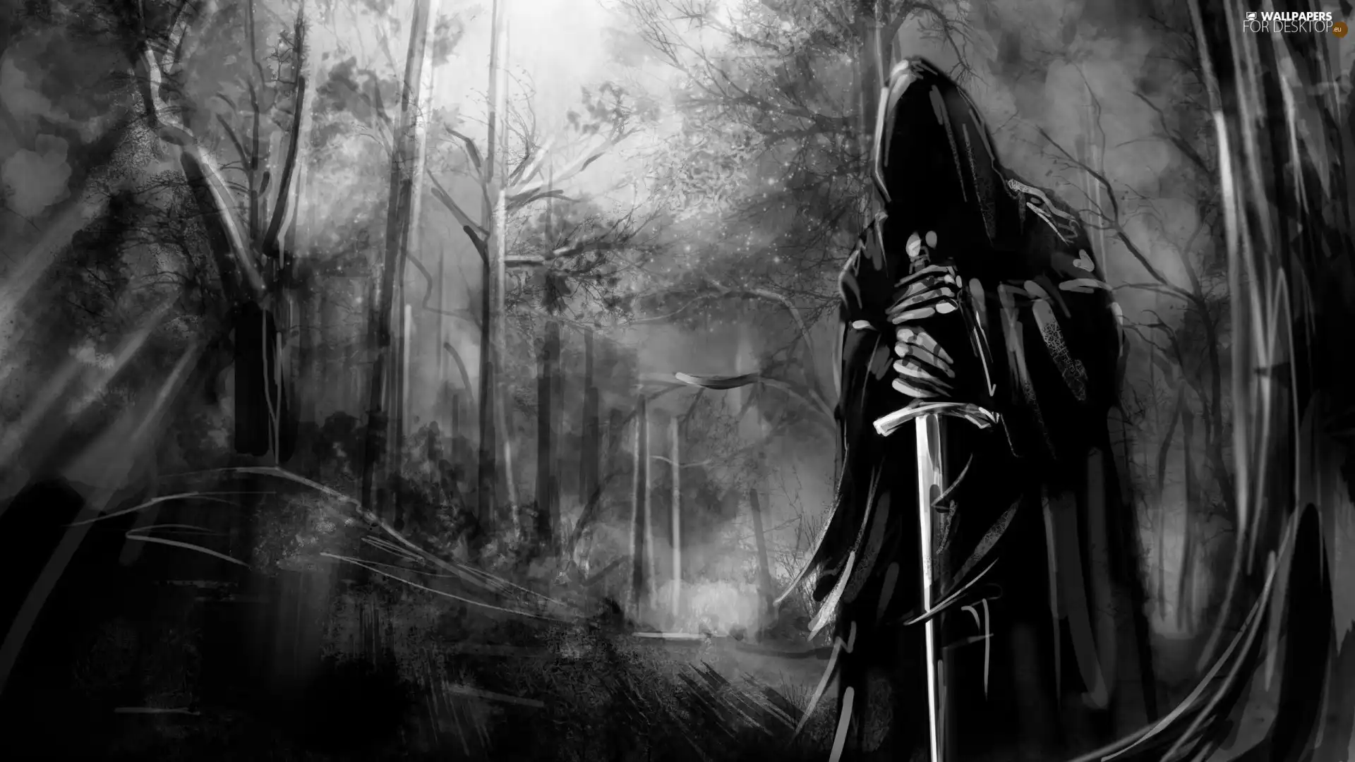 dark, forest