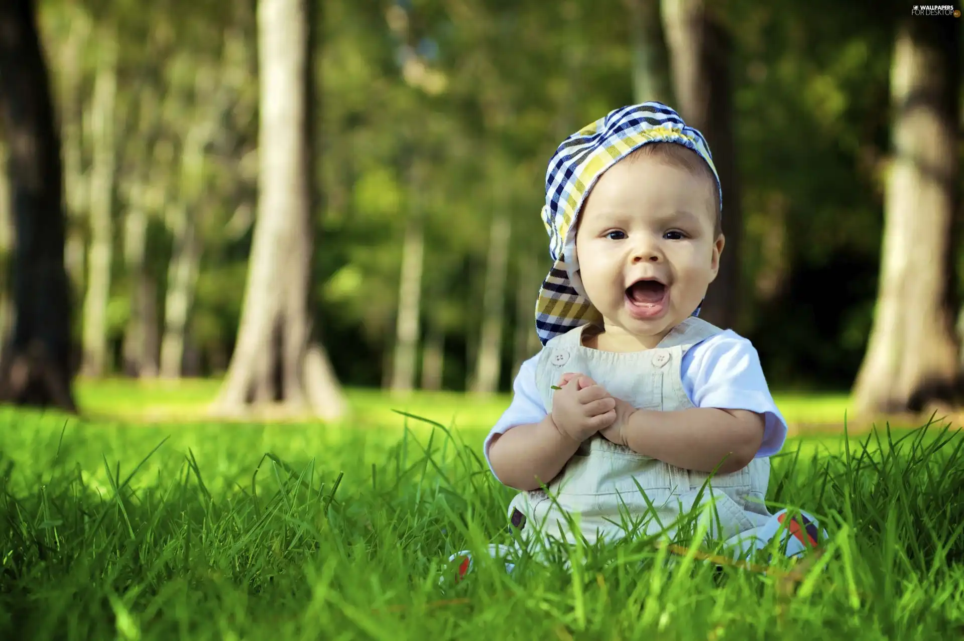 forest, Kid, grass