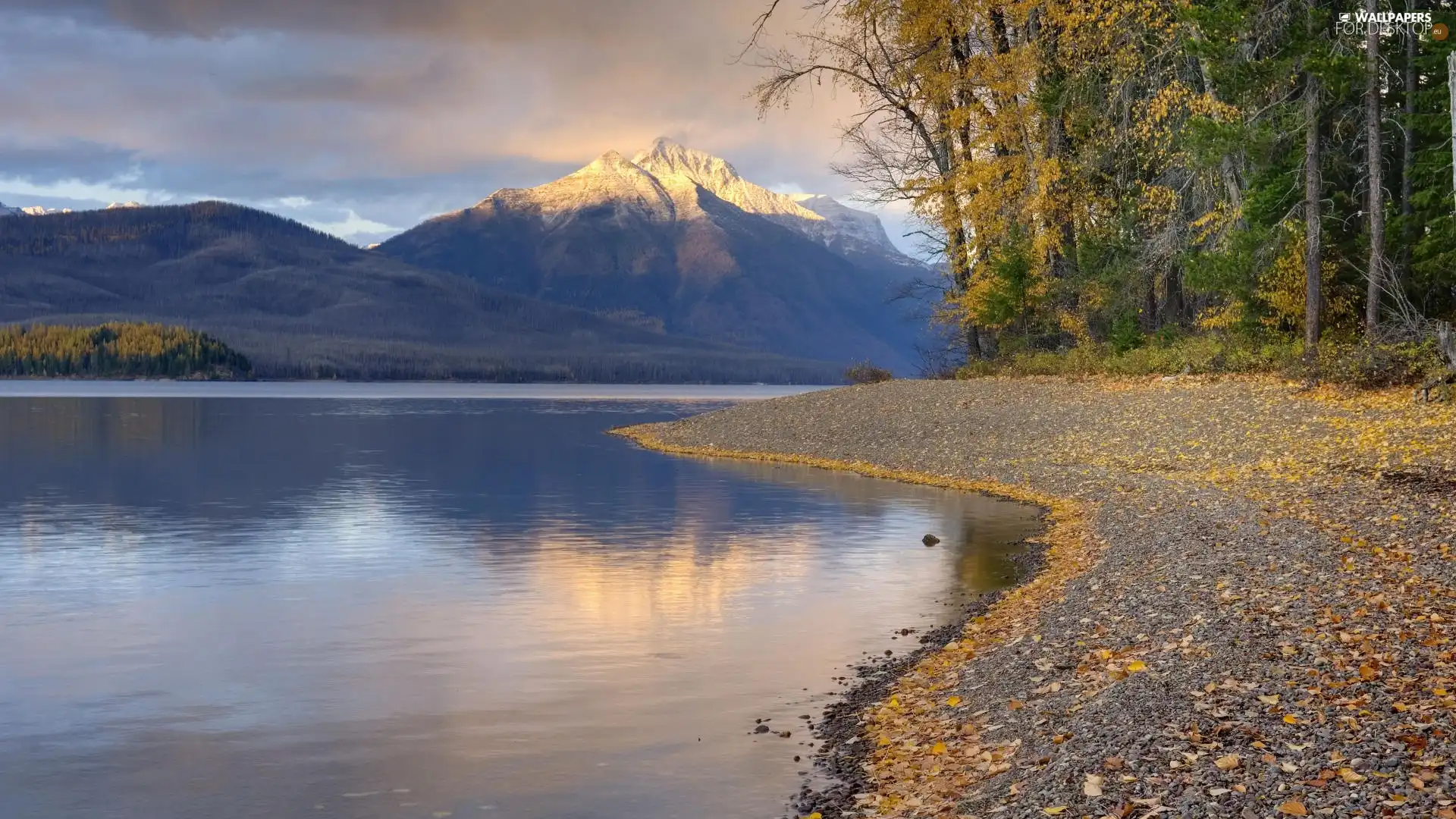 lake, forest