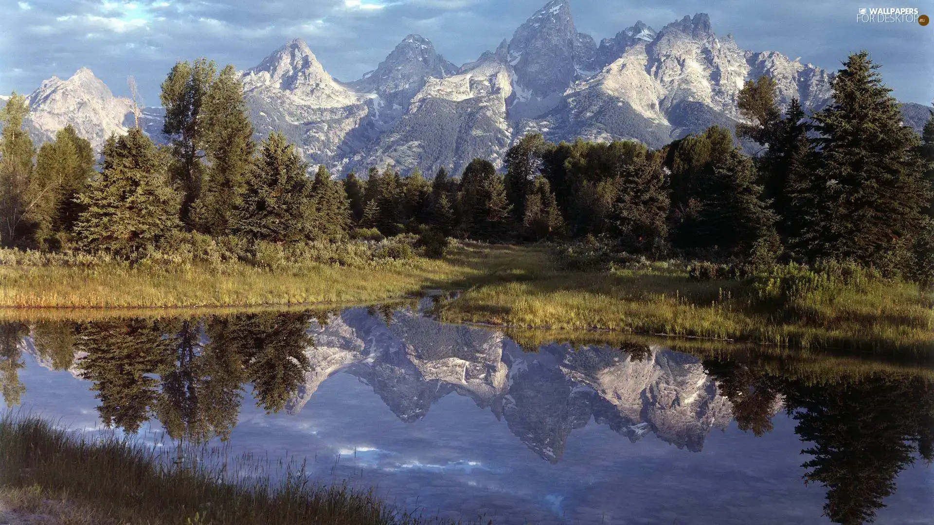 forest, Mountains, lake