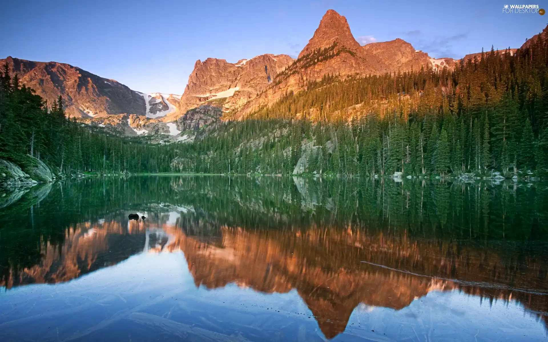 forest, Mountains, lake