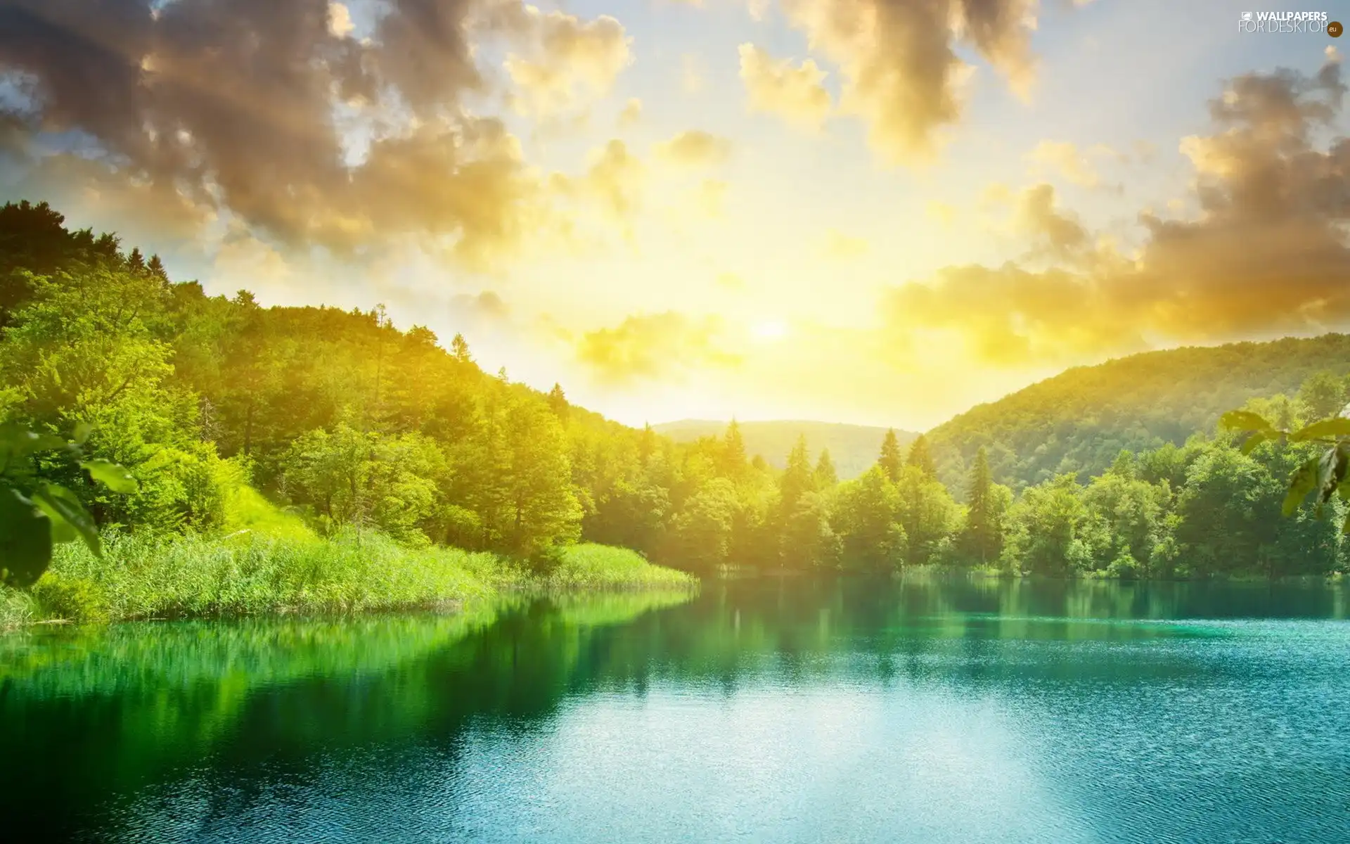 forest, lake, sun, Mountains, west