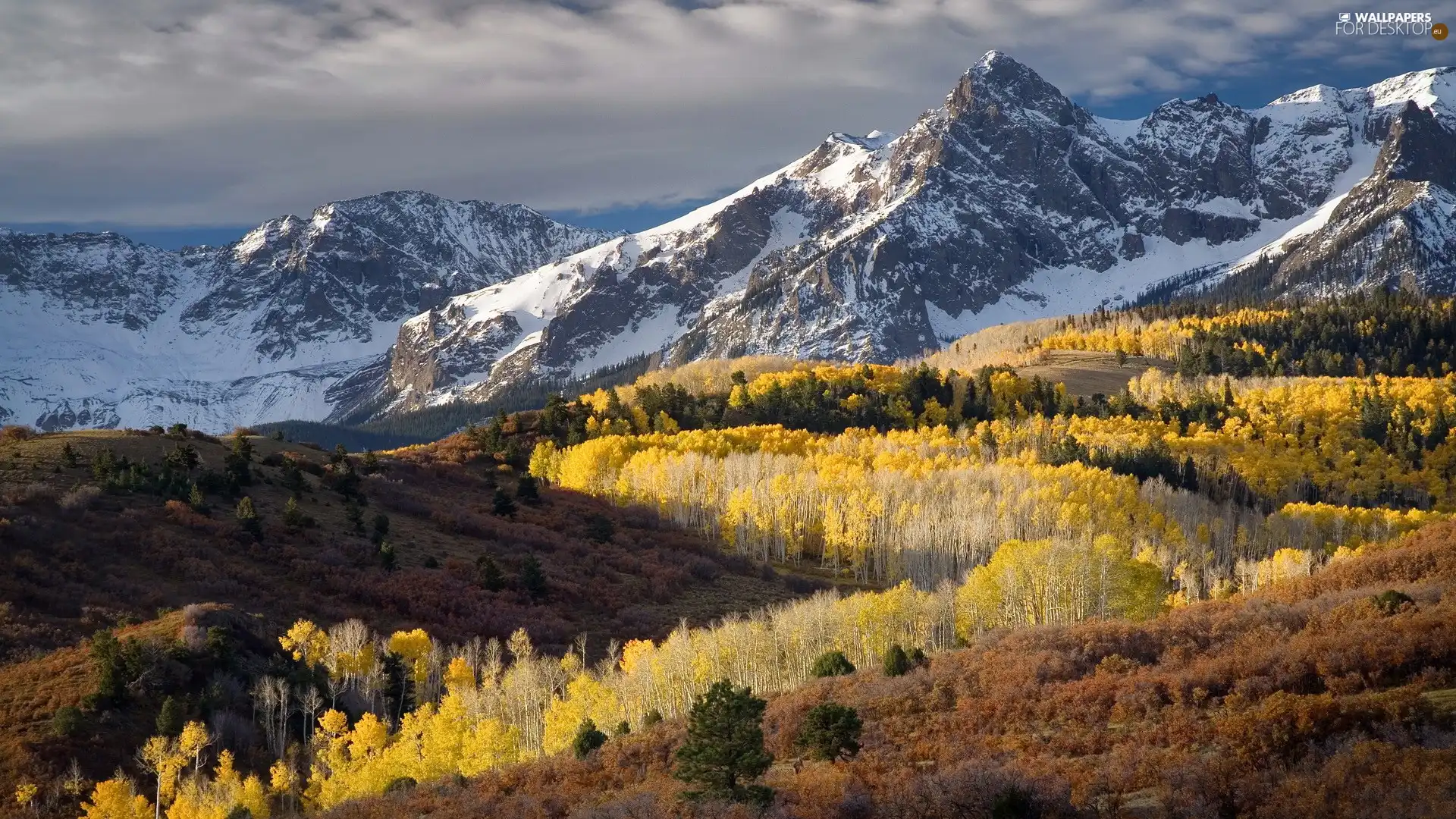 Mountains, forest