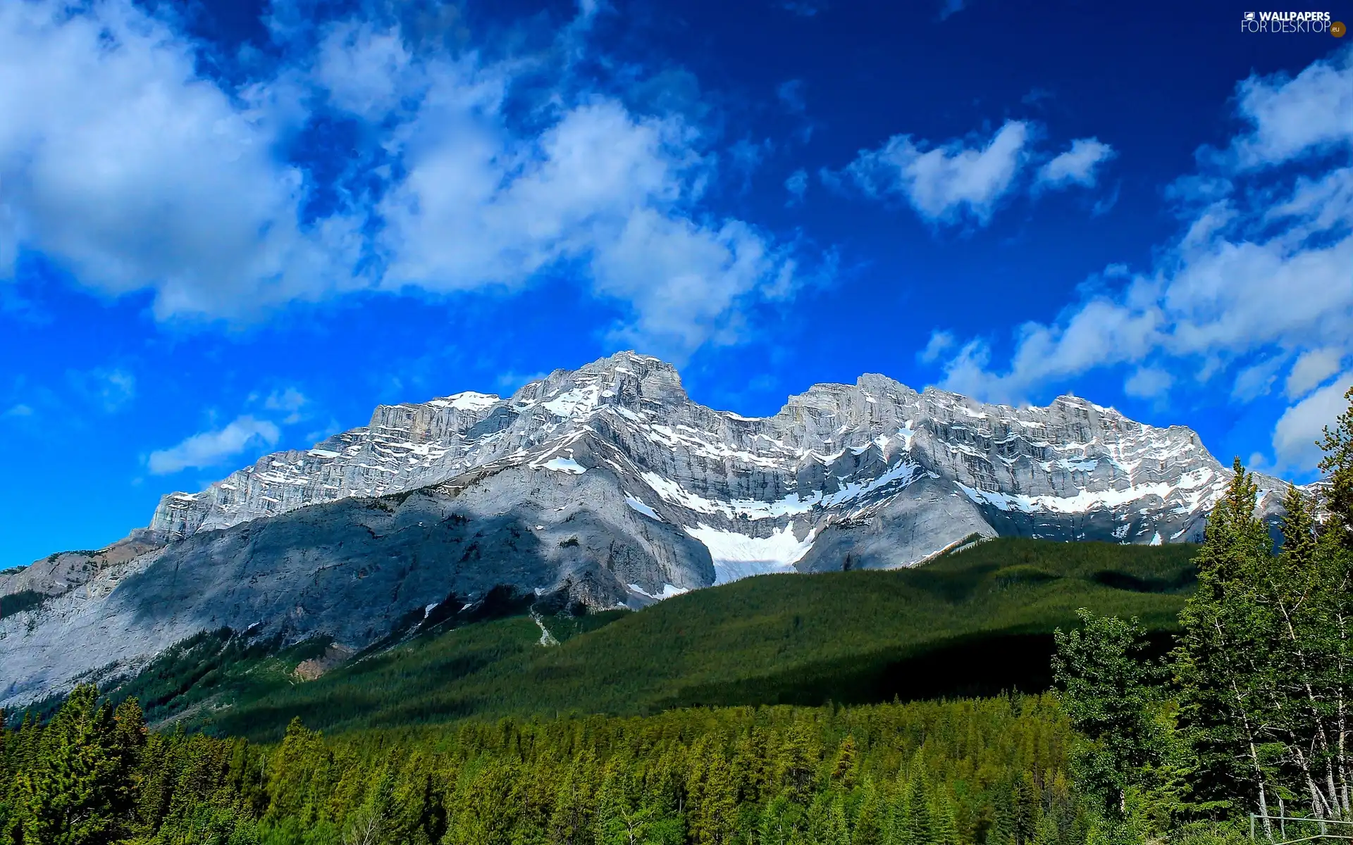 Mountains, forest