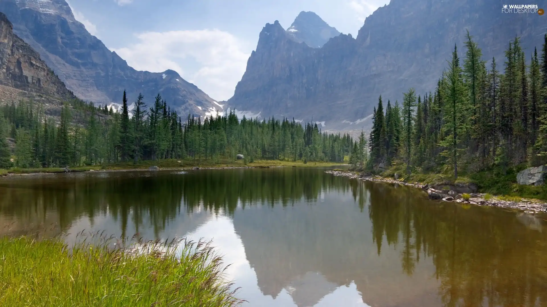 forest, lake, Mountains