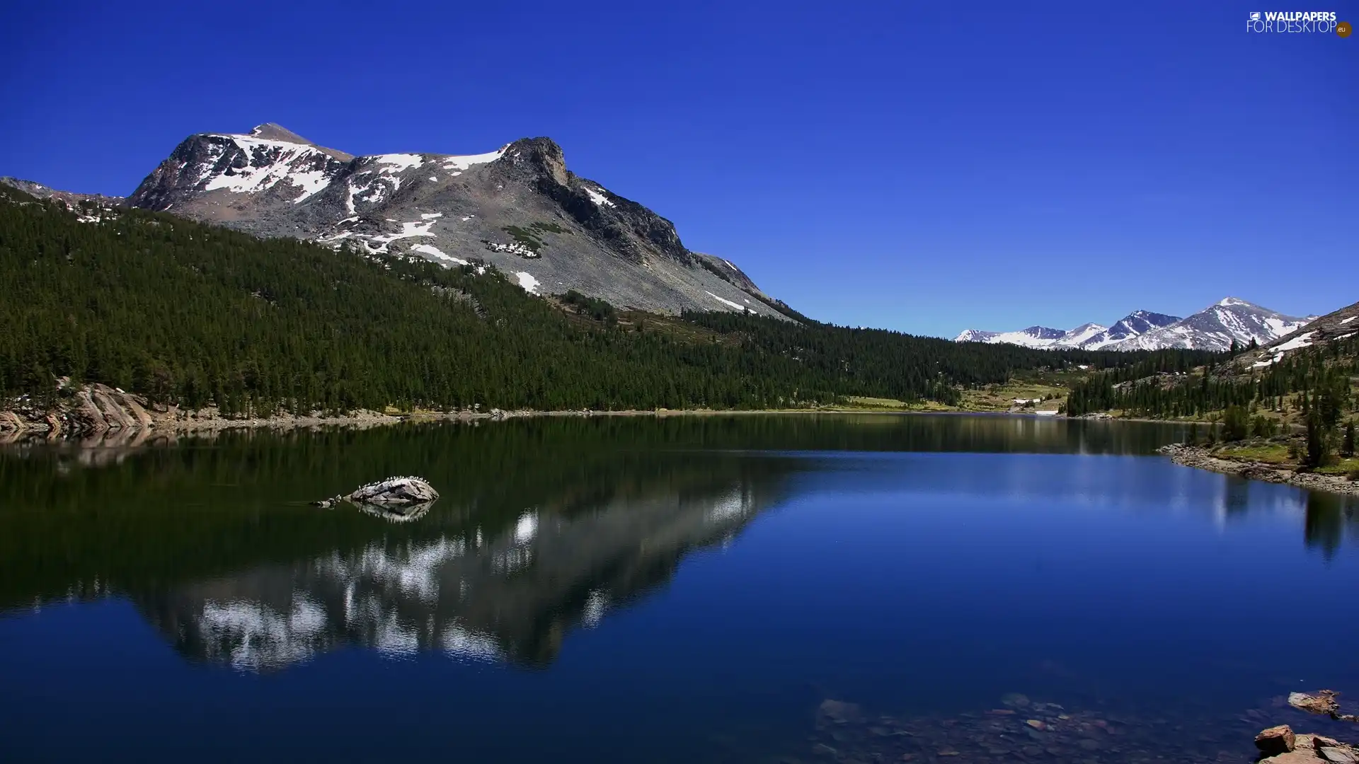 forest, lake, Mountains