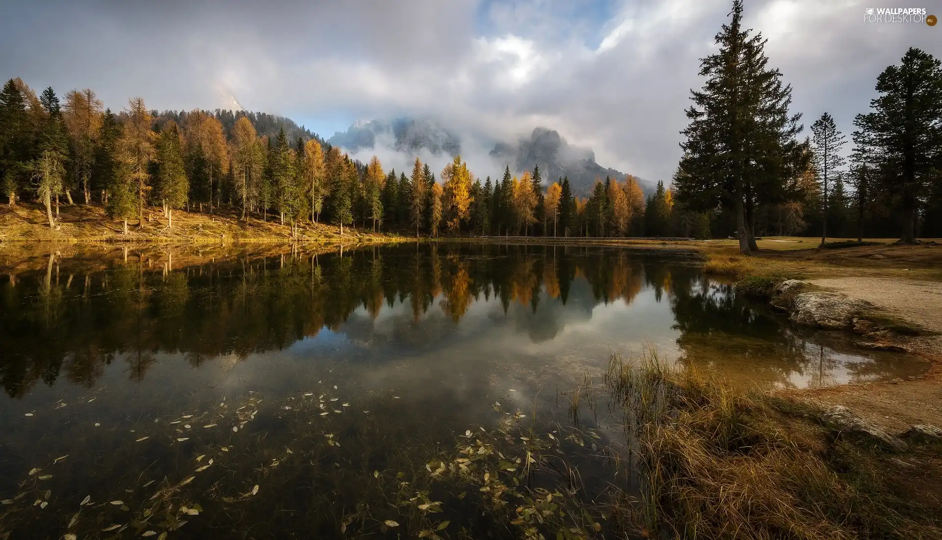forest, Antorno Lake, Italy, trees, Cadore Region, Dolomites, Mountains, viewes