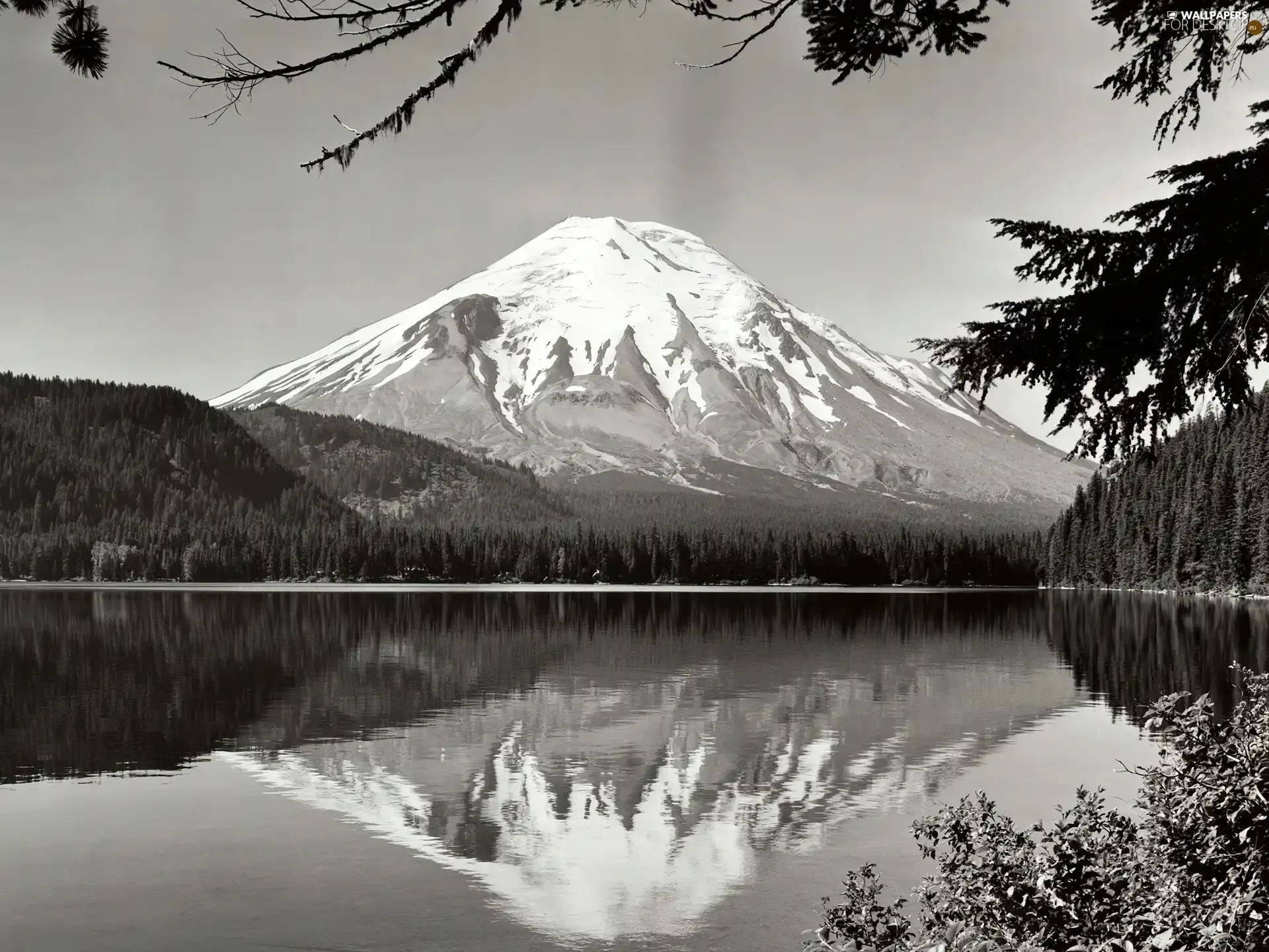 mountains, lake, forest, snow