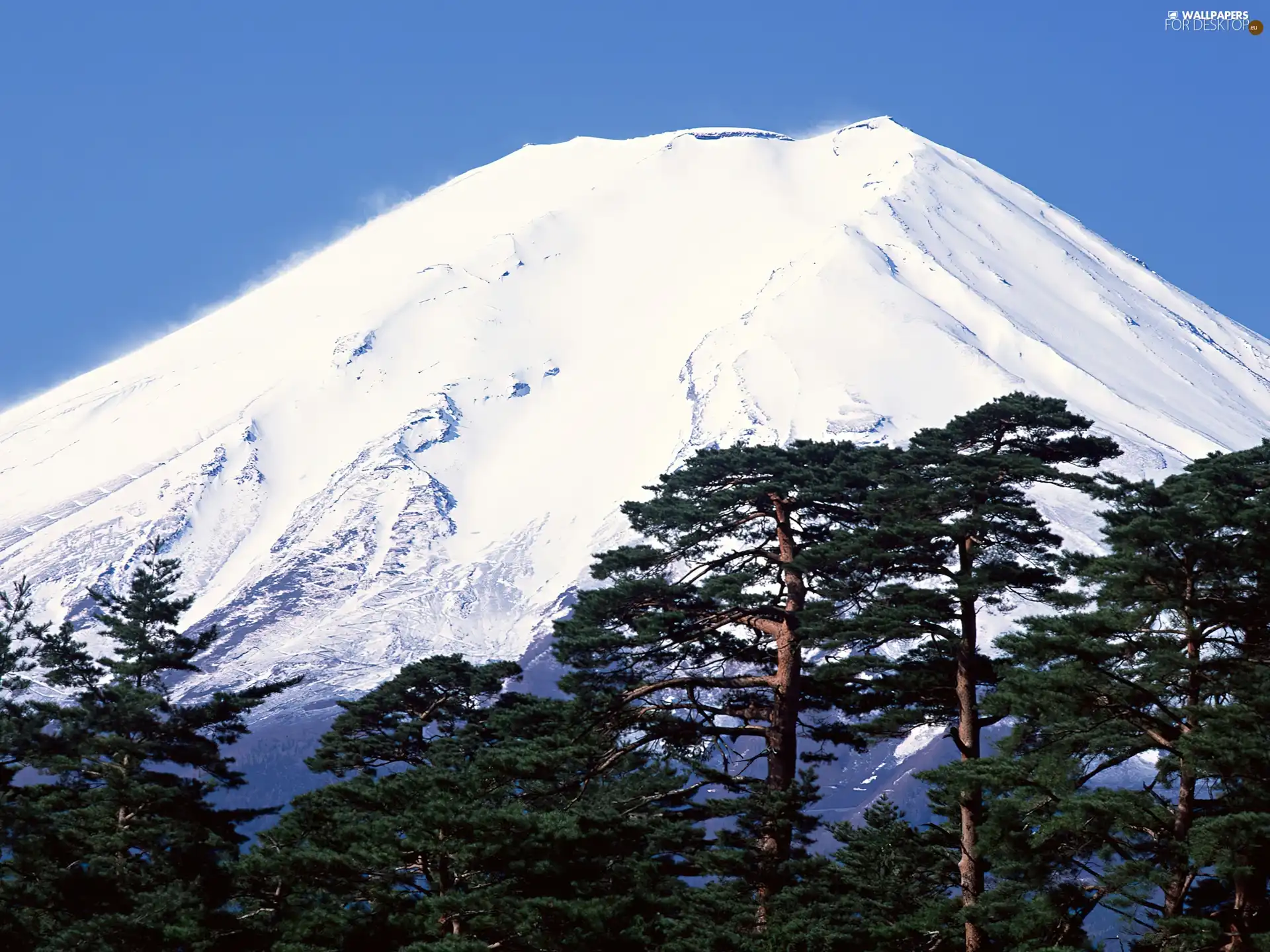 mountains, snow, forest, height