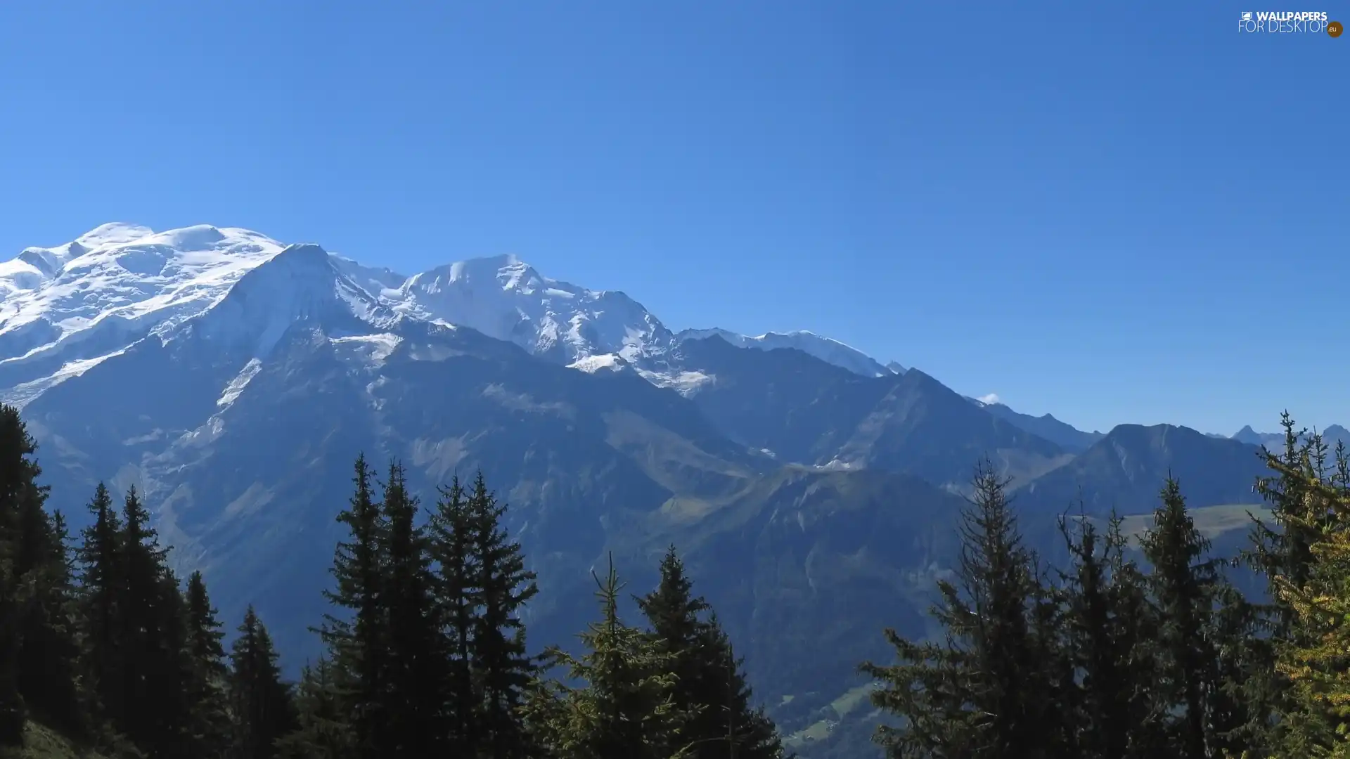 Mountains, snow, forest, height