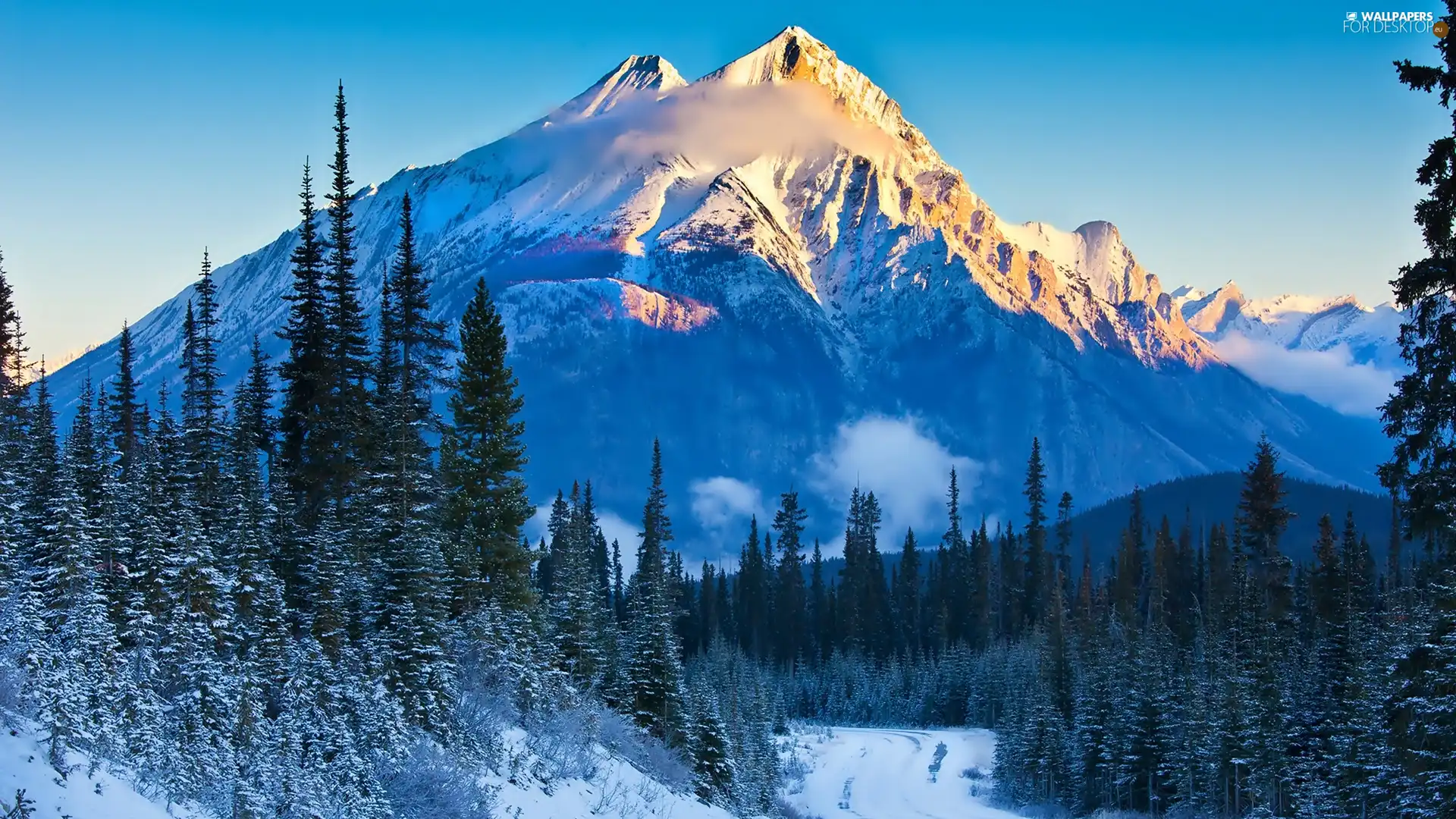 forest, winter, Mountains