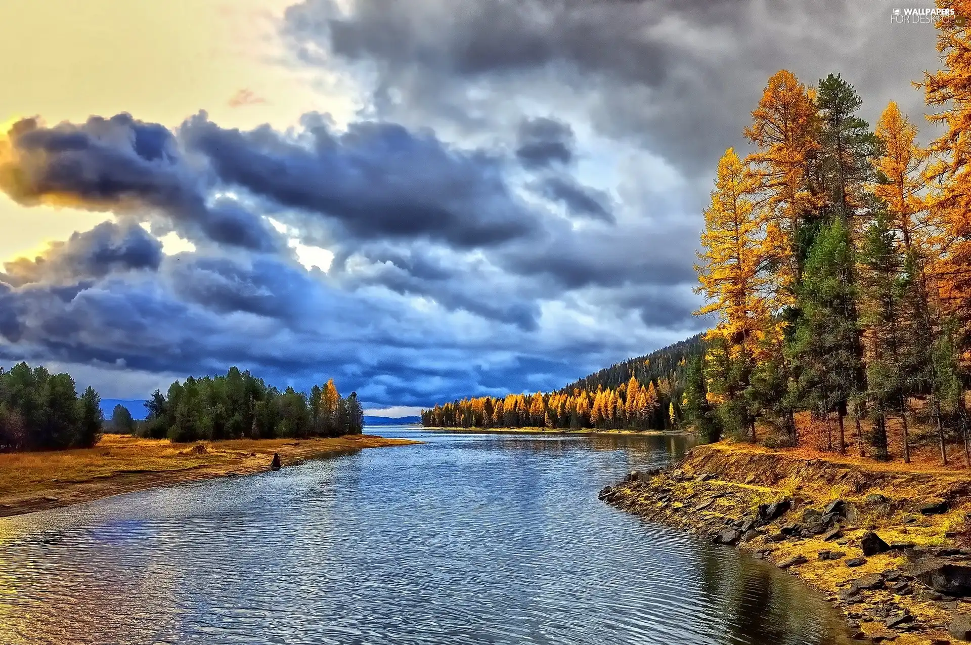 forest, clouds, River