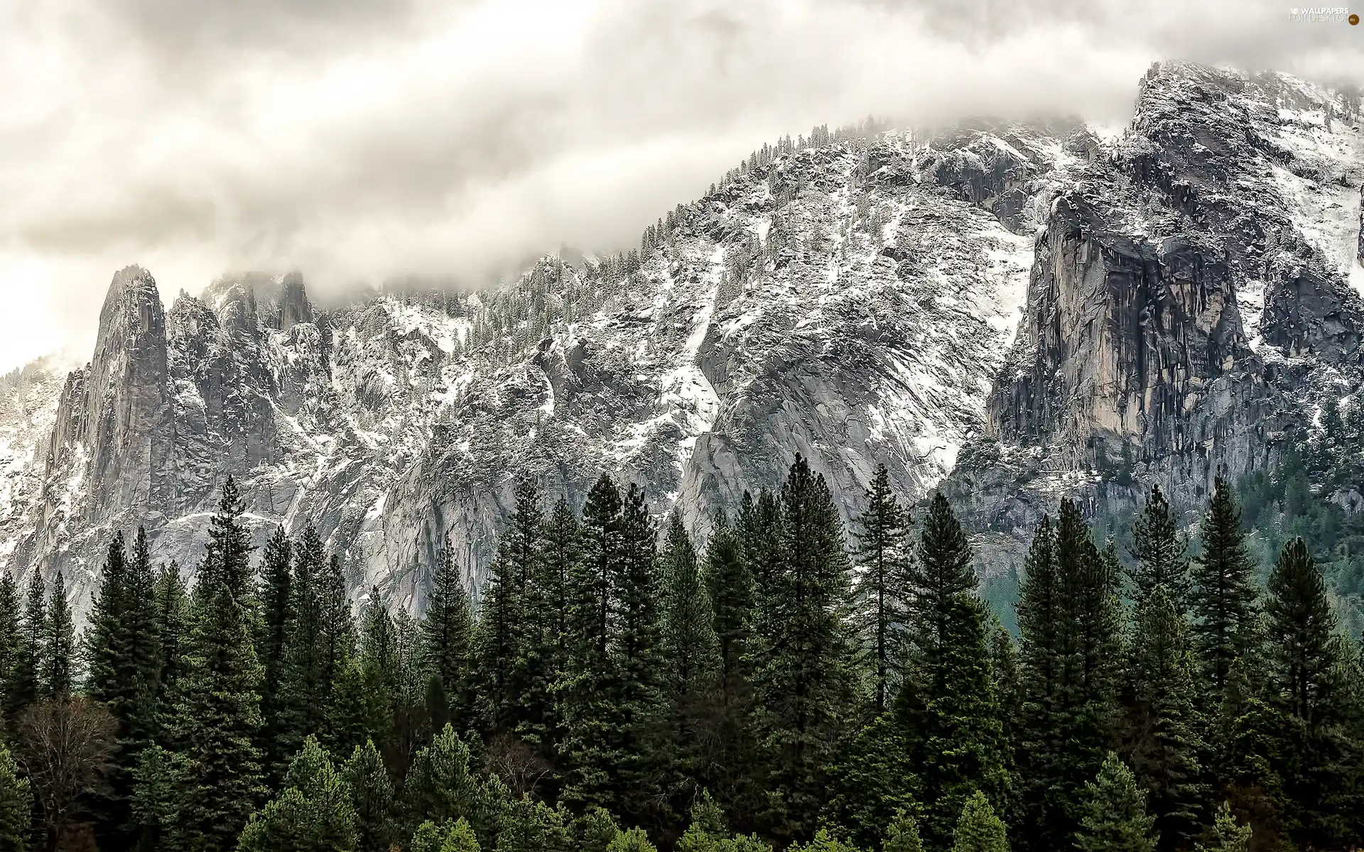 rocks, viewes, forest, trees