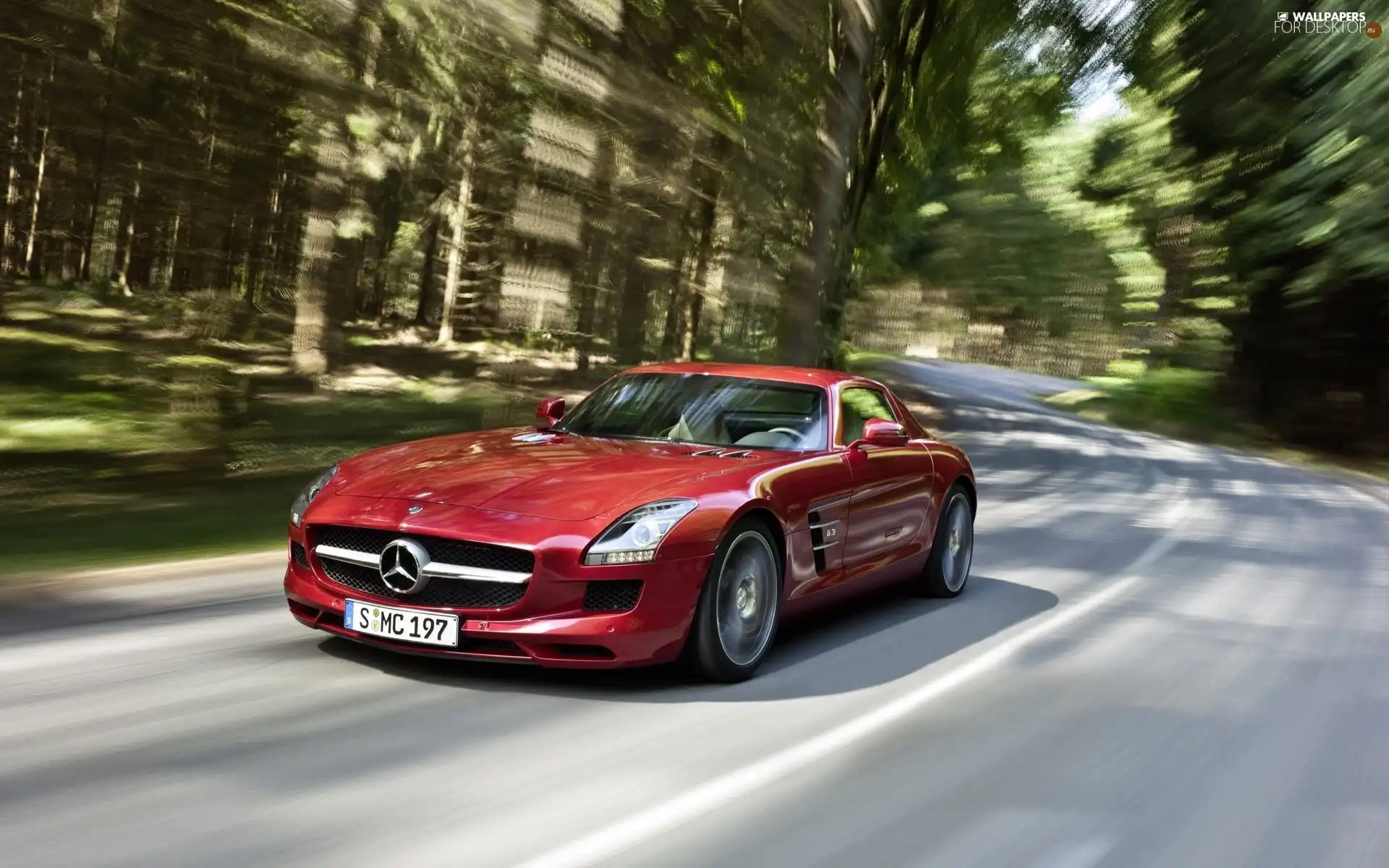 Mercedes SLS, Way, forest