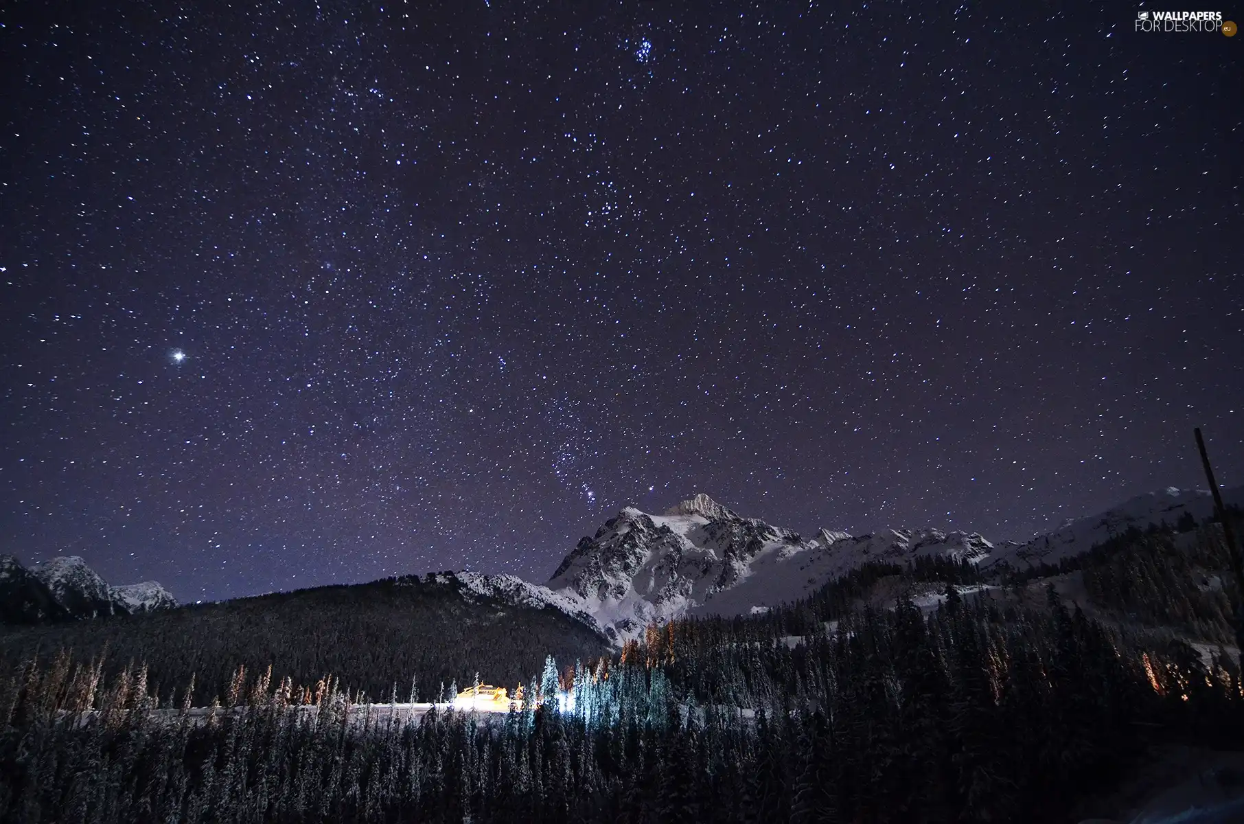 Sky, winter, forest, snow, Gory, Night