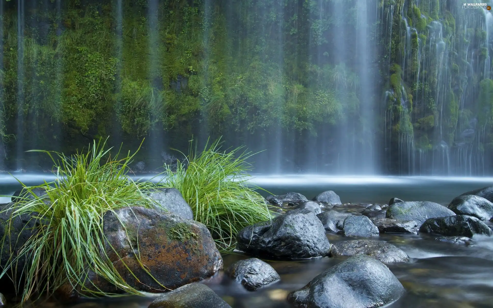 forest, waterfall, Stones