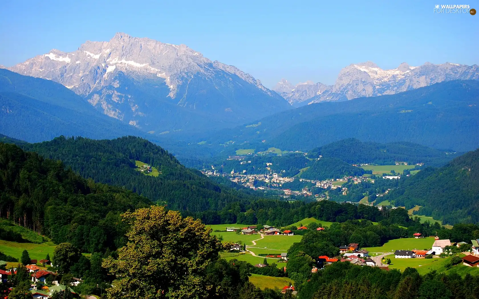 forest, Mountains, Town