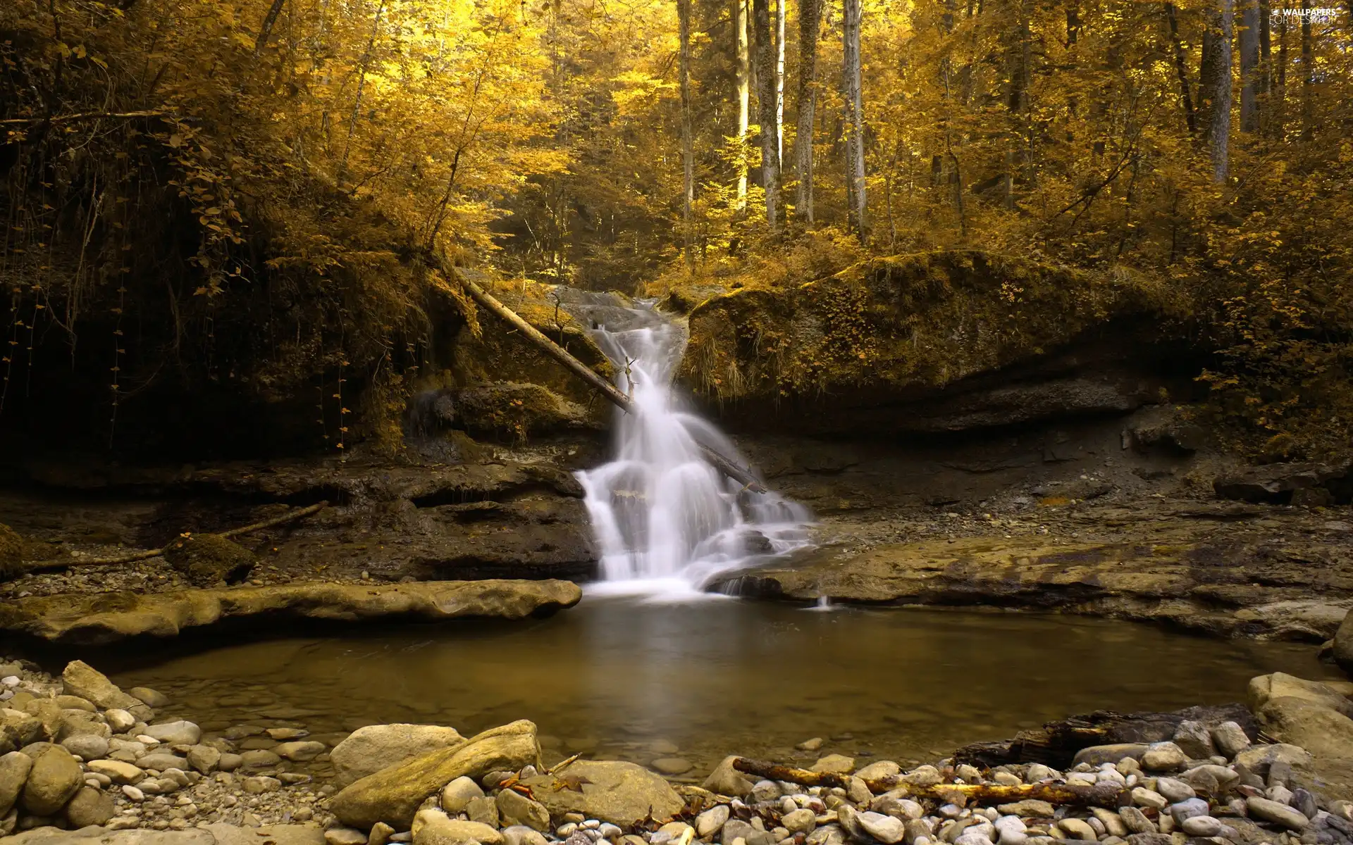 waterfall, forest