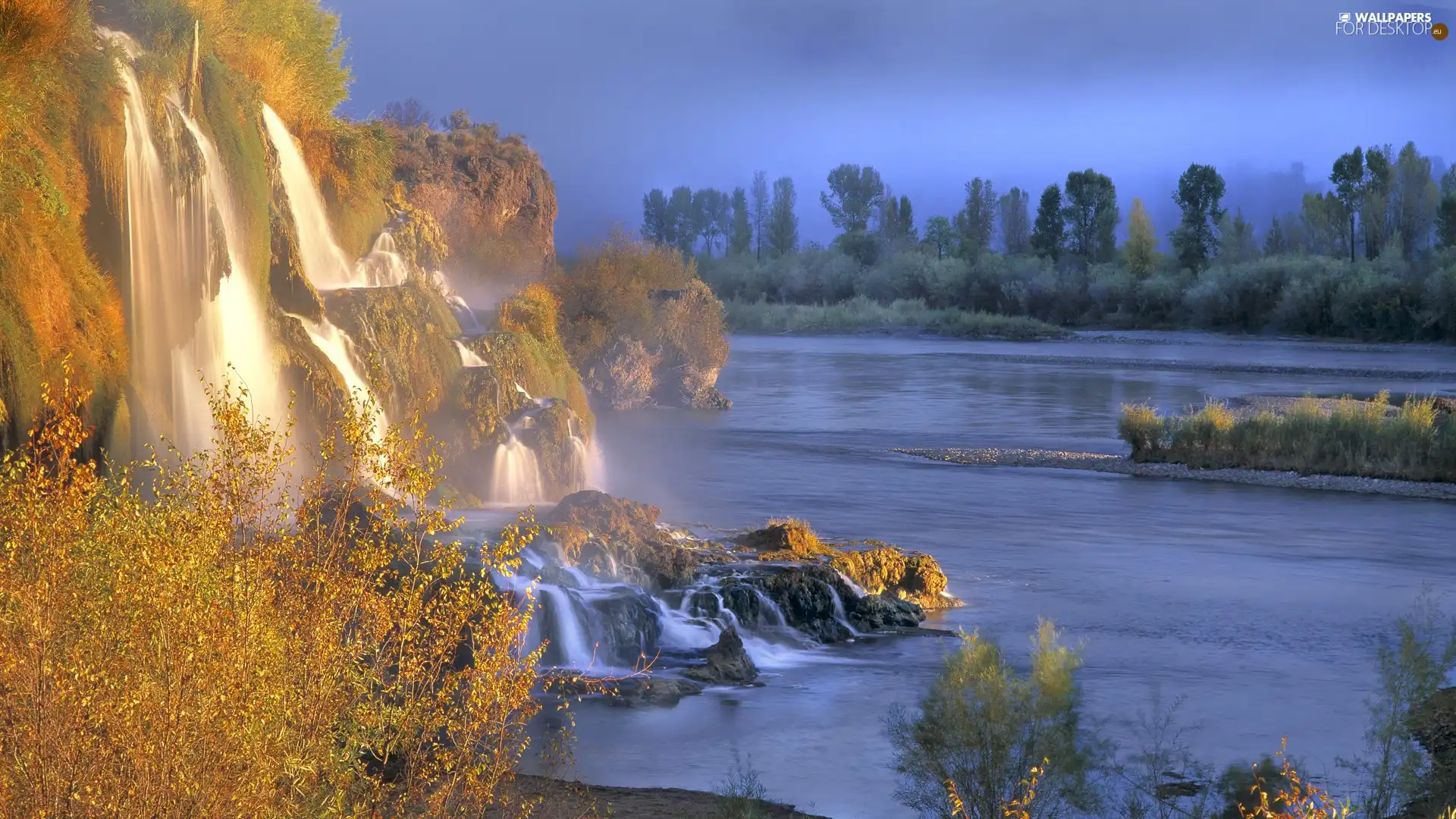 forest, River, waterfall