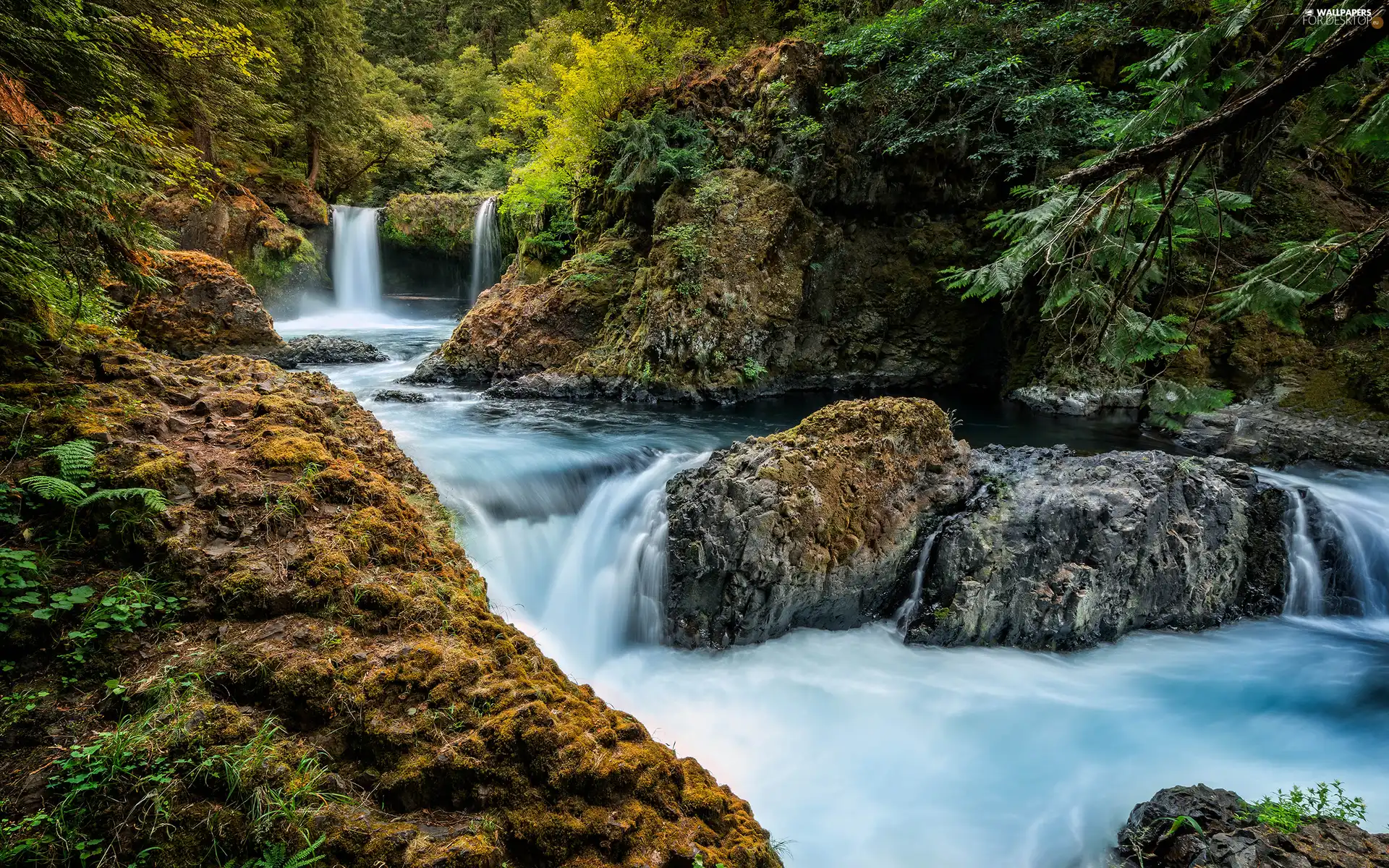 waterfall, rocks, forest, River