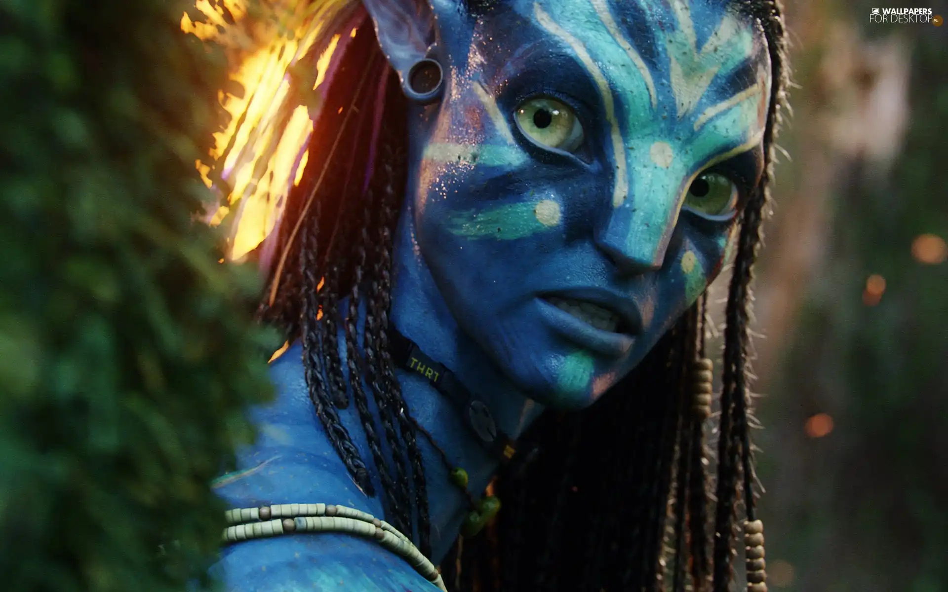 Avatar, form
