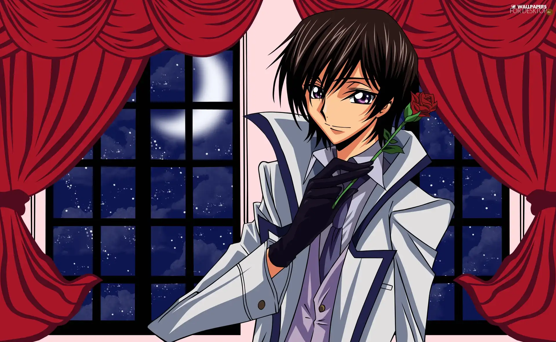 form, Manga Anime, rose, Window, Lelouch Lamperouge, Code Geass