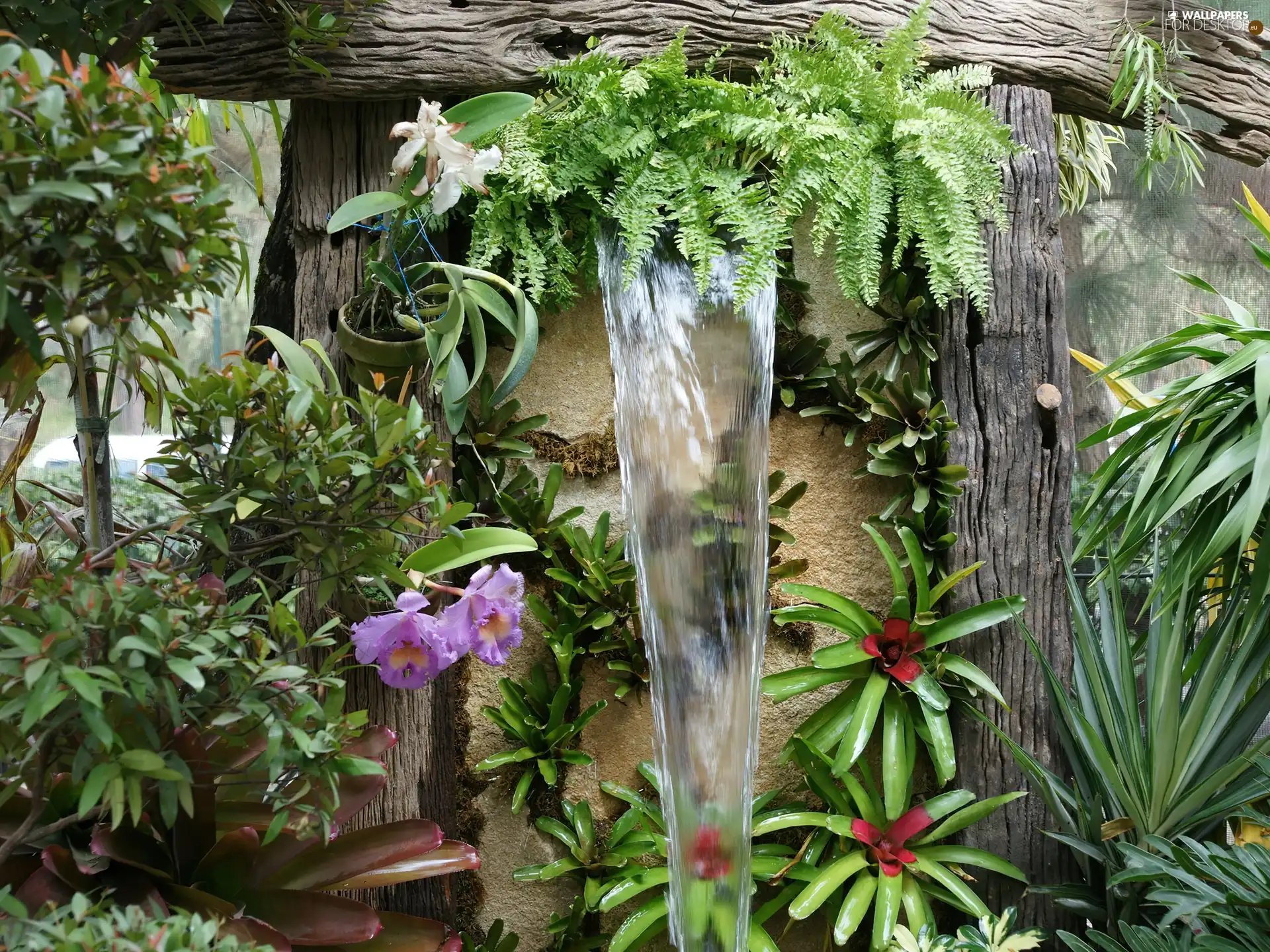 fountain, Garden, floral