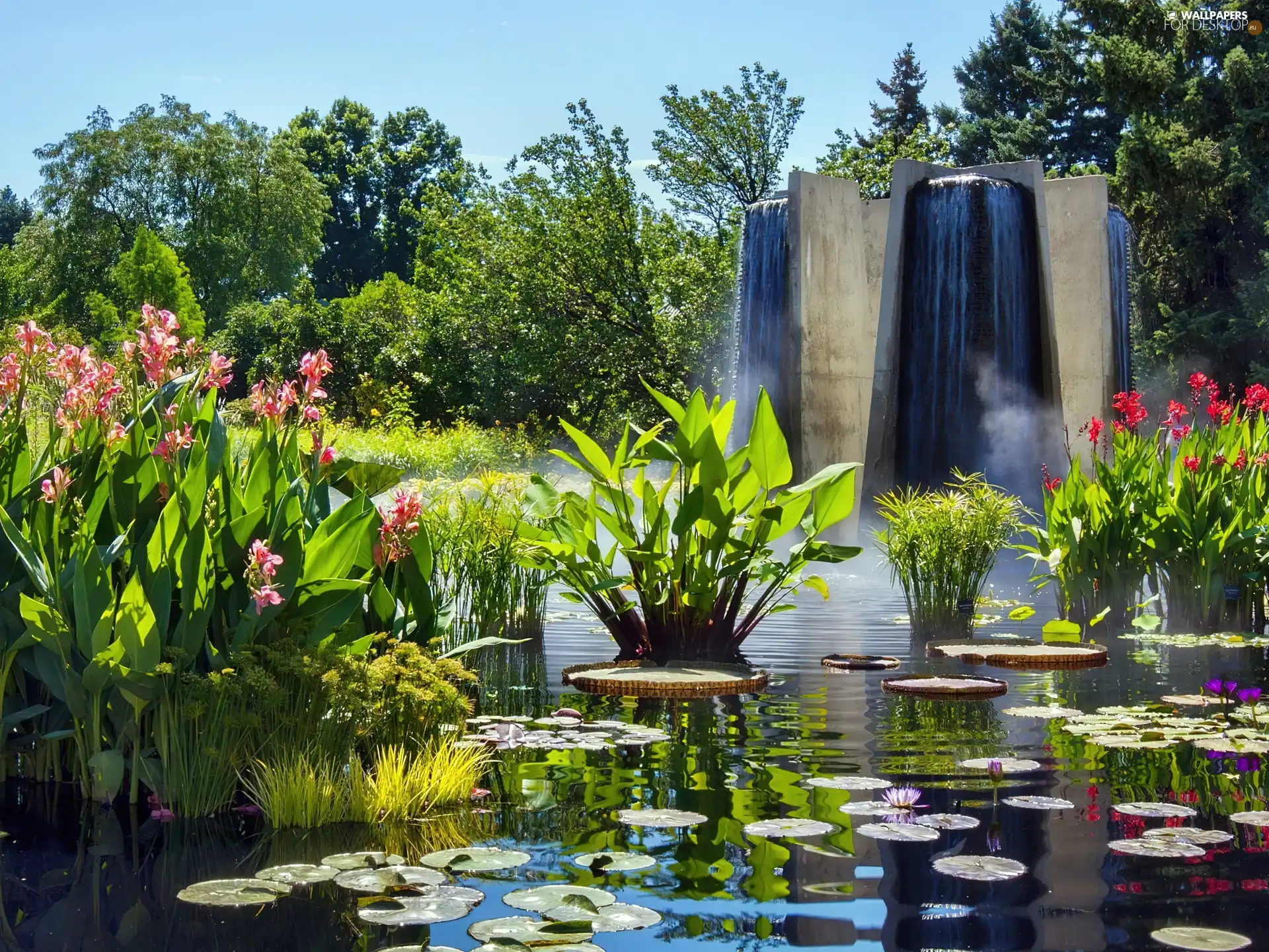 Park, water, fountain, plants