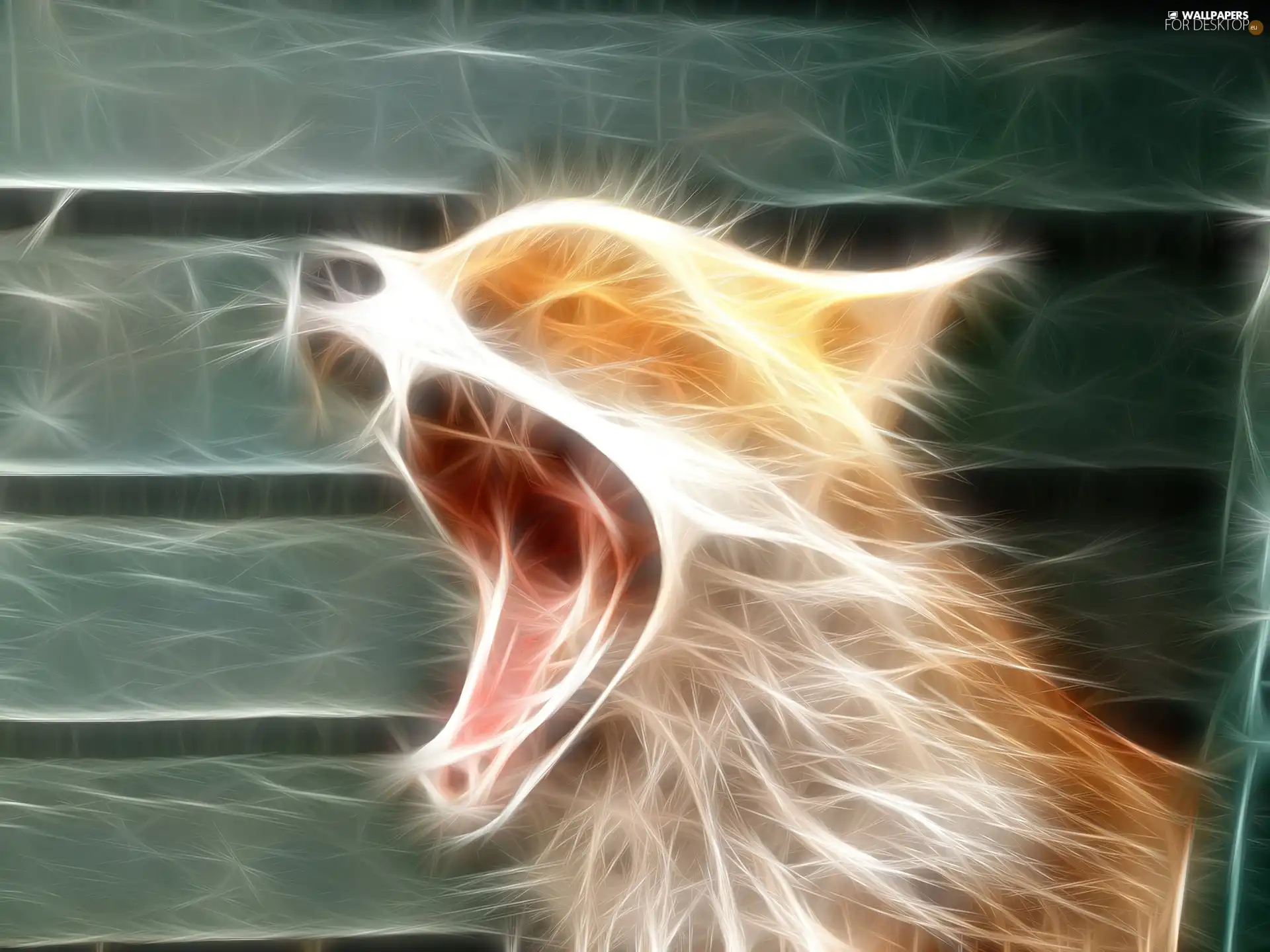 yawning, Fox