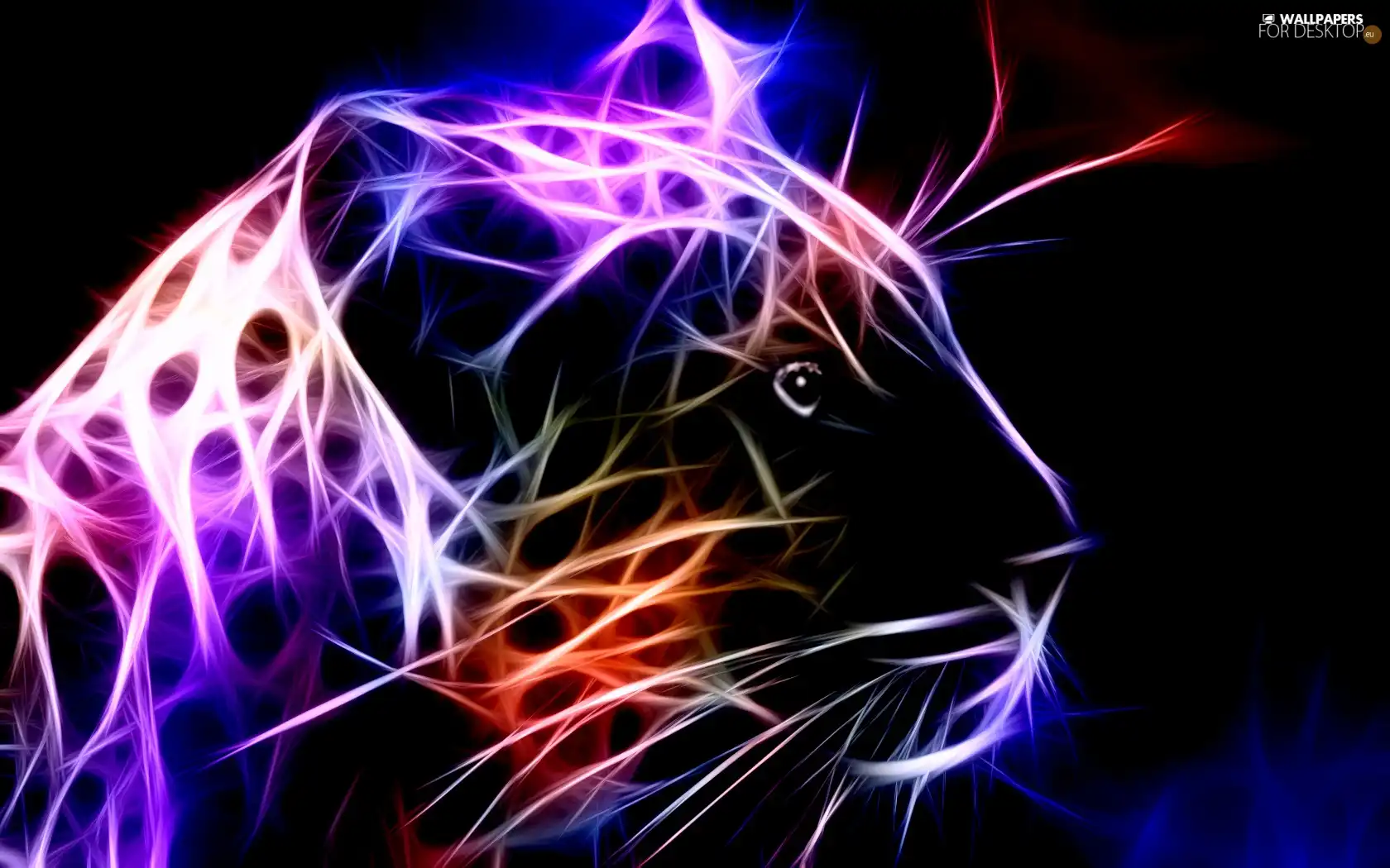 Fractalius, wild, cat