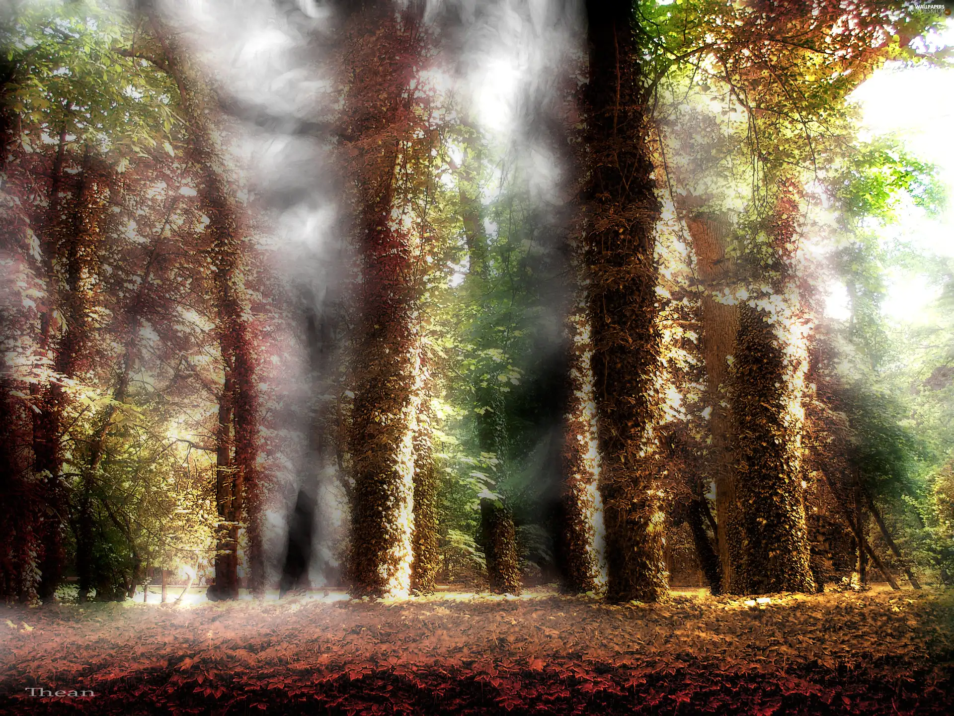 Fractalius, forest, colors