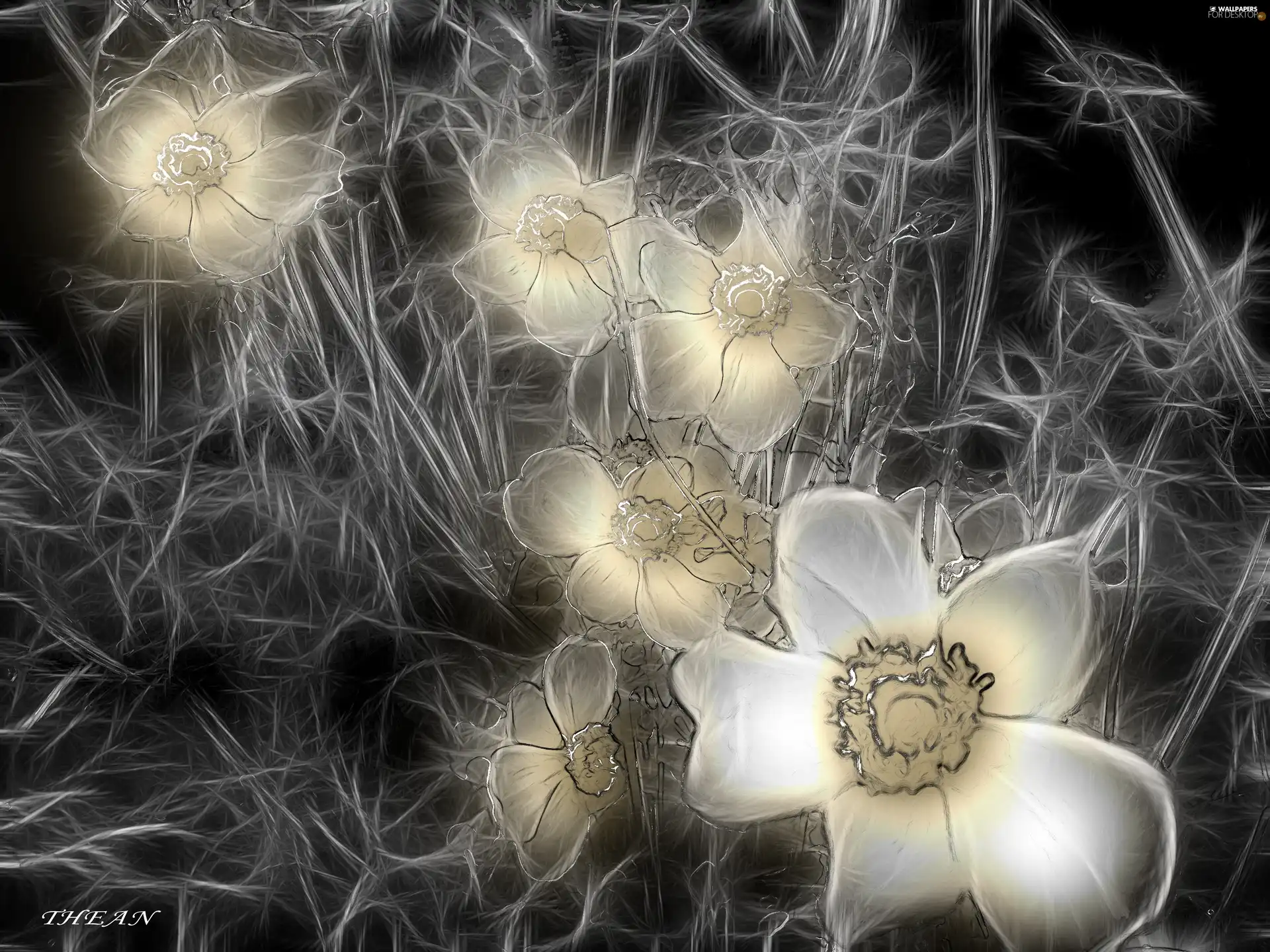 Flowers, Fractalius