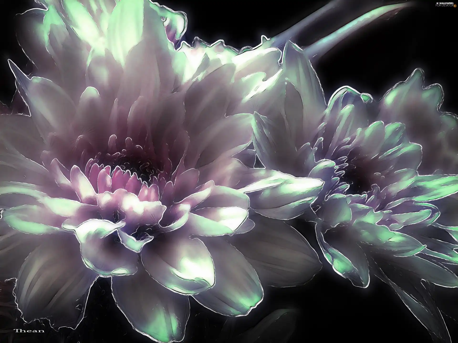 Flowers, Fractalius