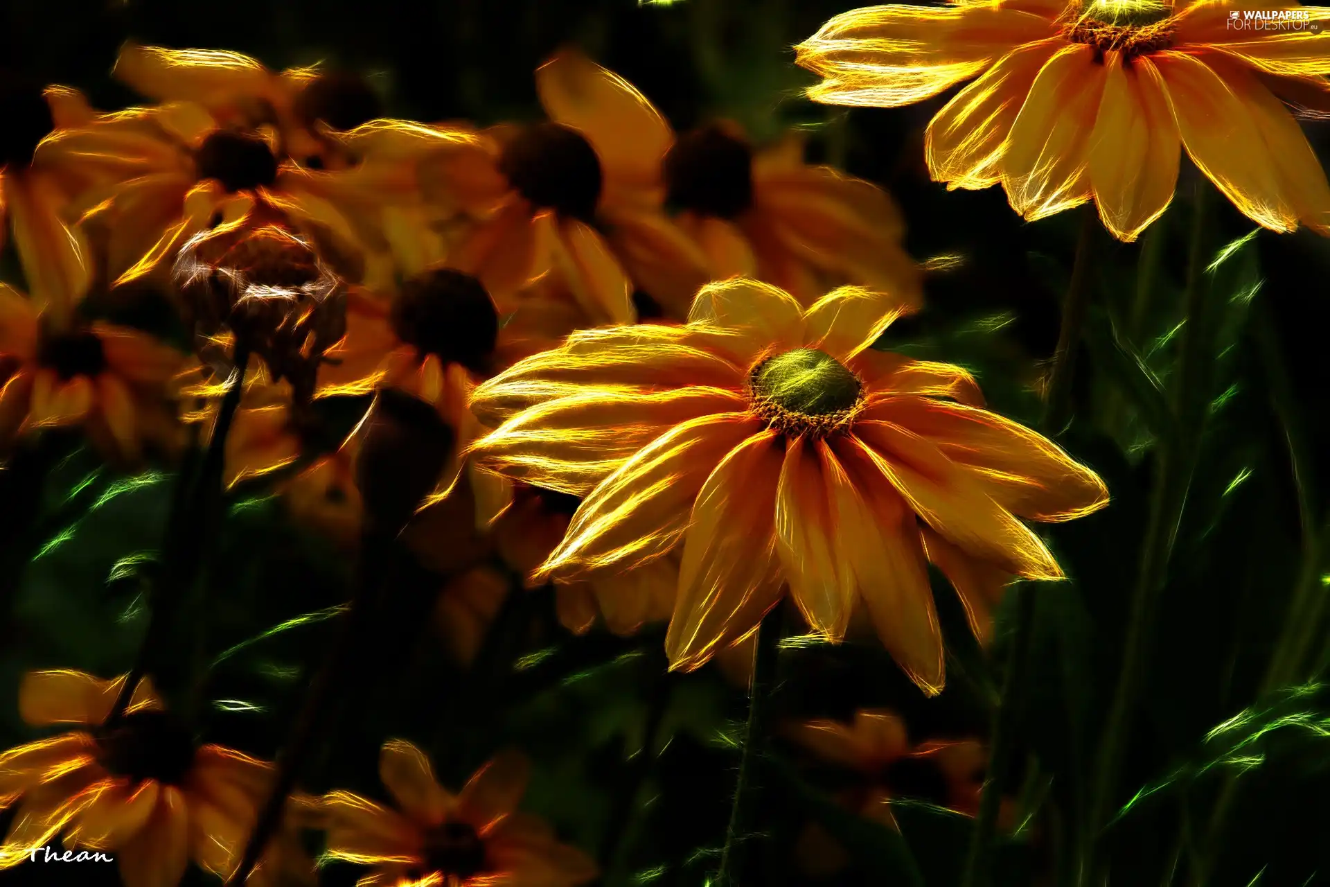 Fractalius, Yellow, Flowers