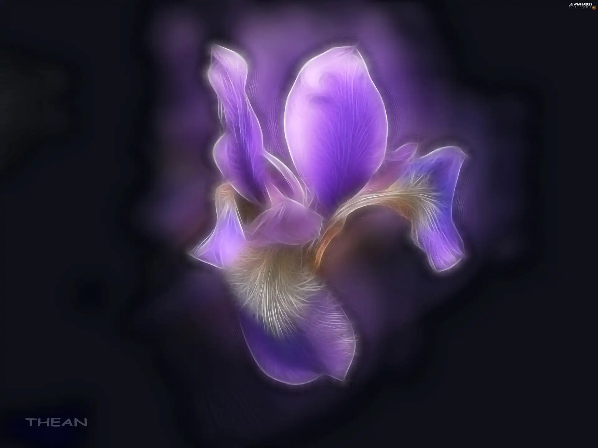 iris, Fractalius