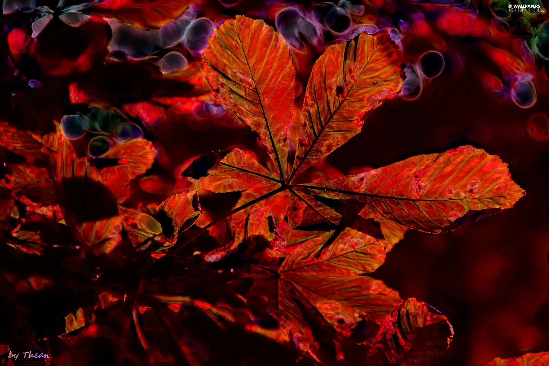 Fractalius, Red, Leaf