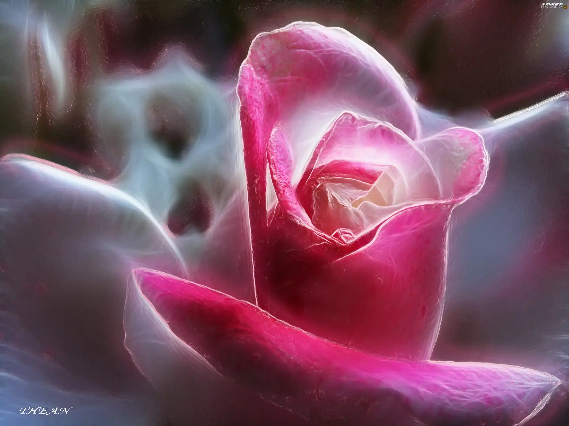 rose, Fractalius