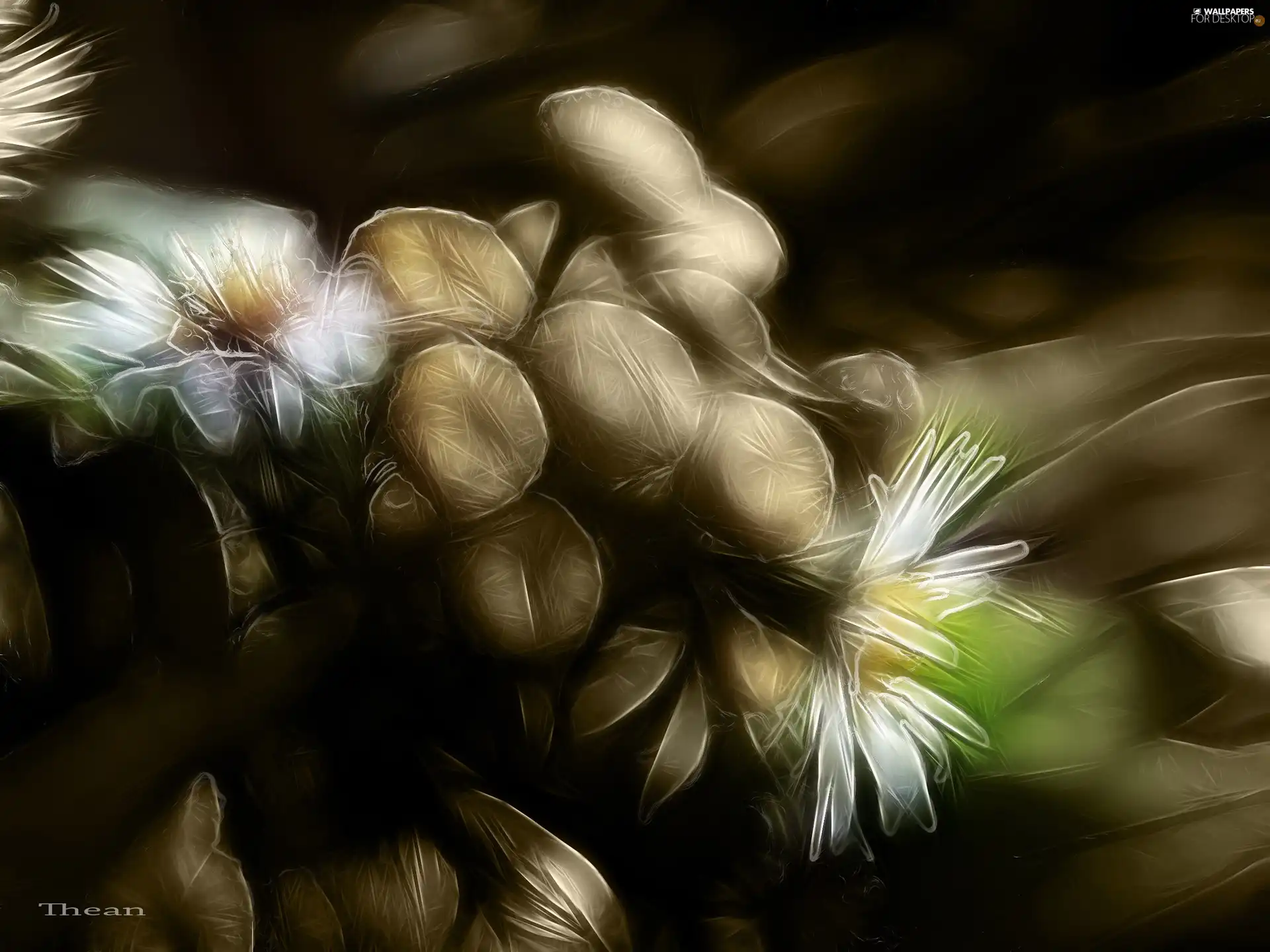 Fractalius, Flowers, Wildflowers