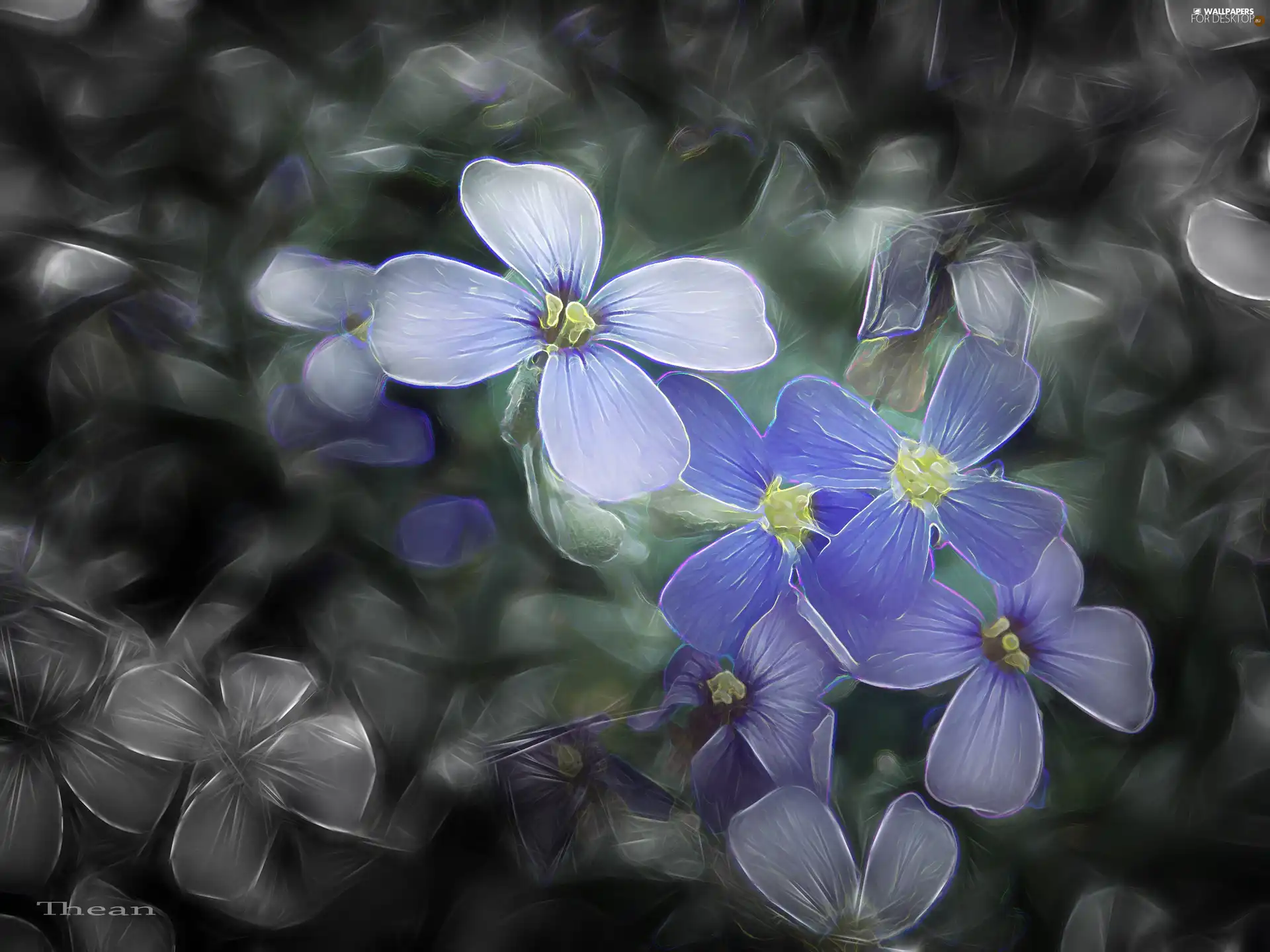 Fractalius, Flowers, Wildflowers