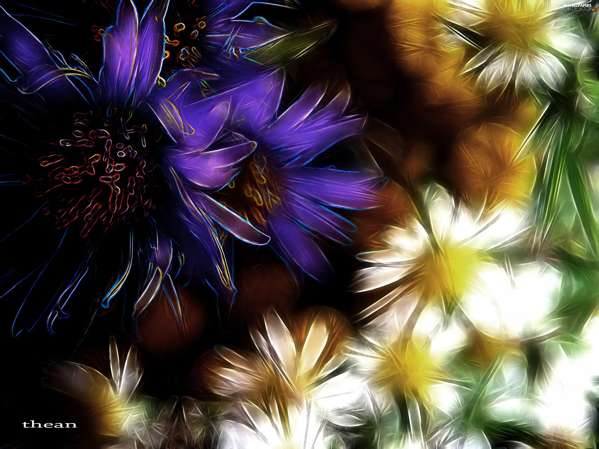 Fractalius, Flowers, Wildflowers