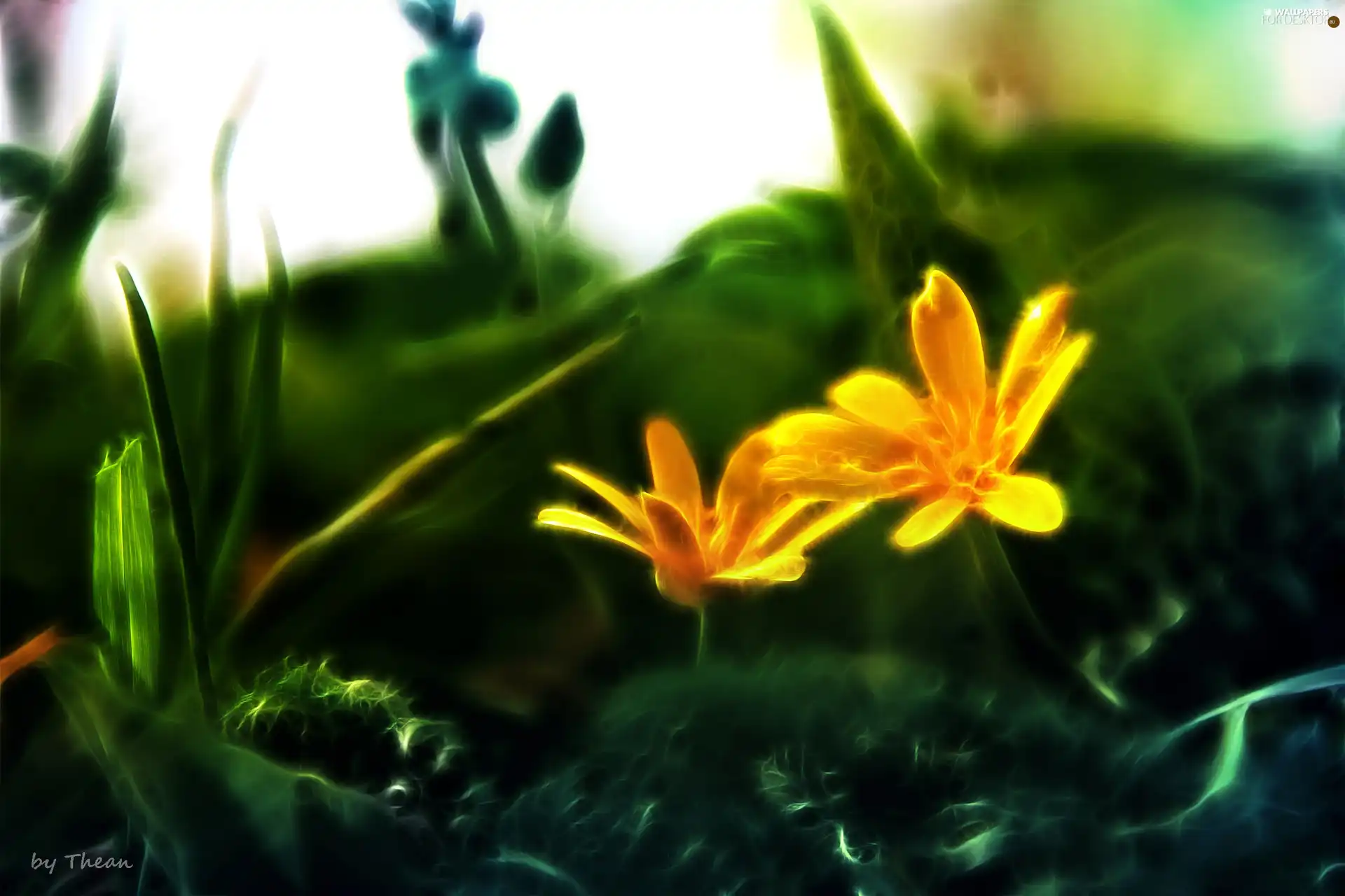 Yellow, Flowers, Fractalius, Spring